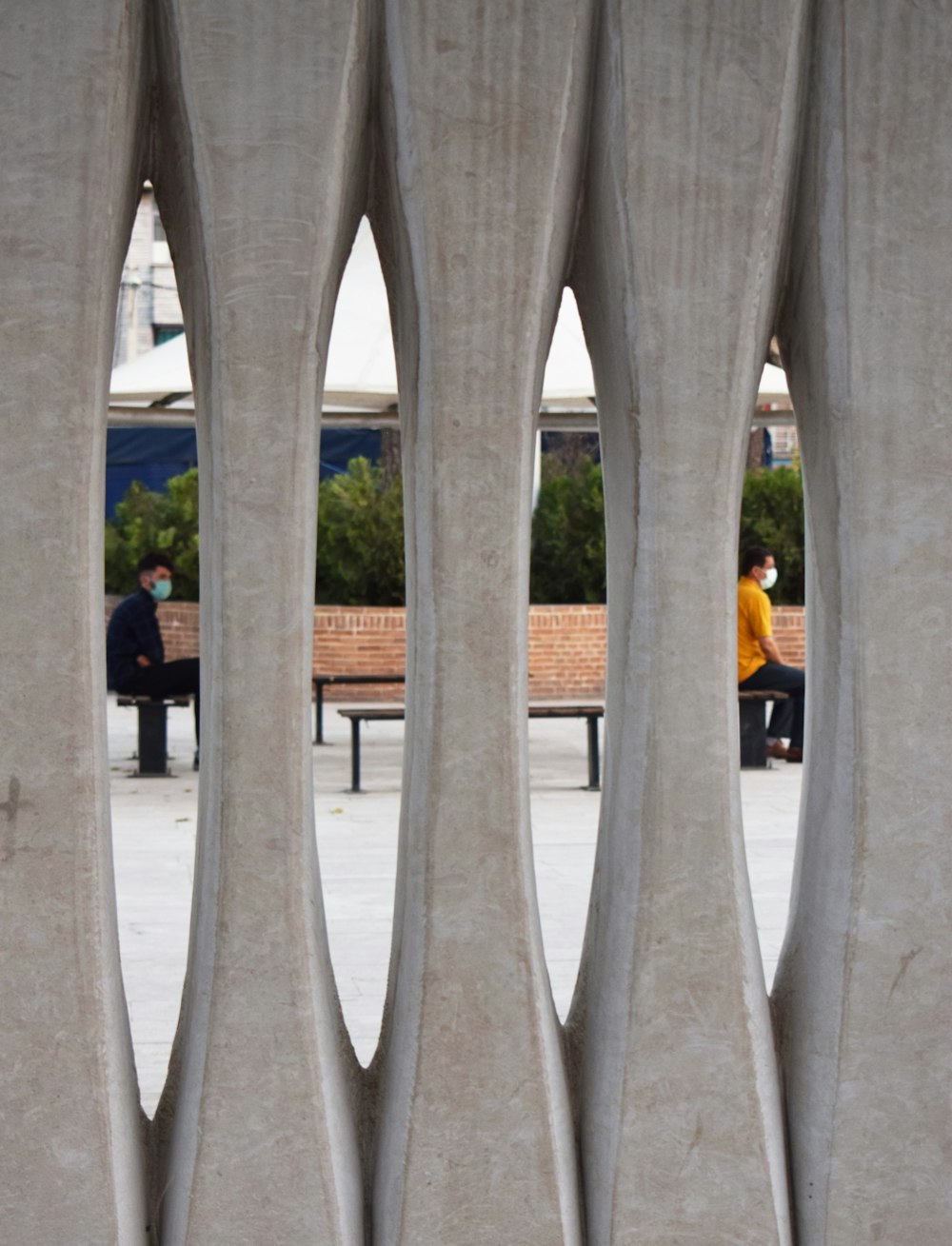 people walking on gray concrete pathway during daytime