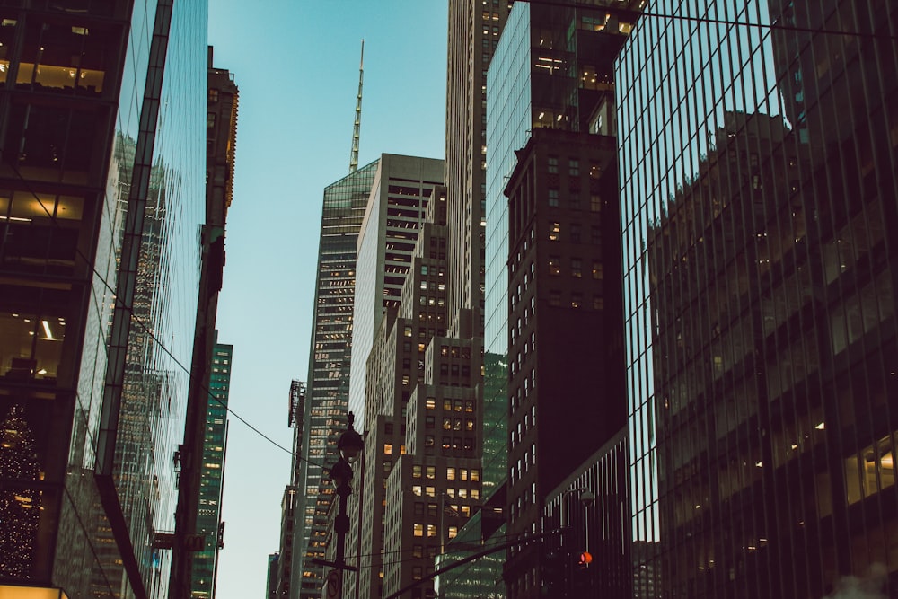 high rise buildings during daytime