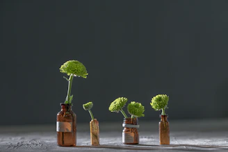 green plant in brown glass bottle