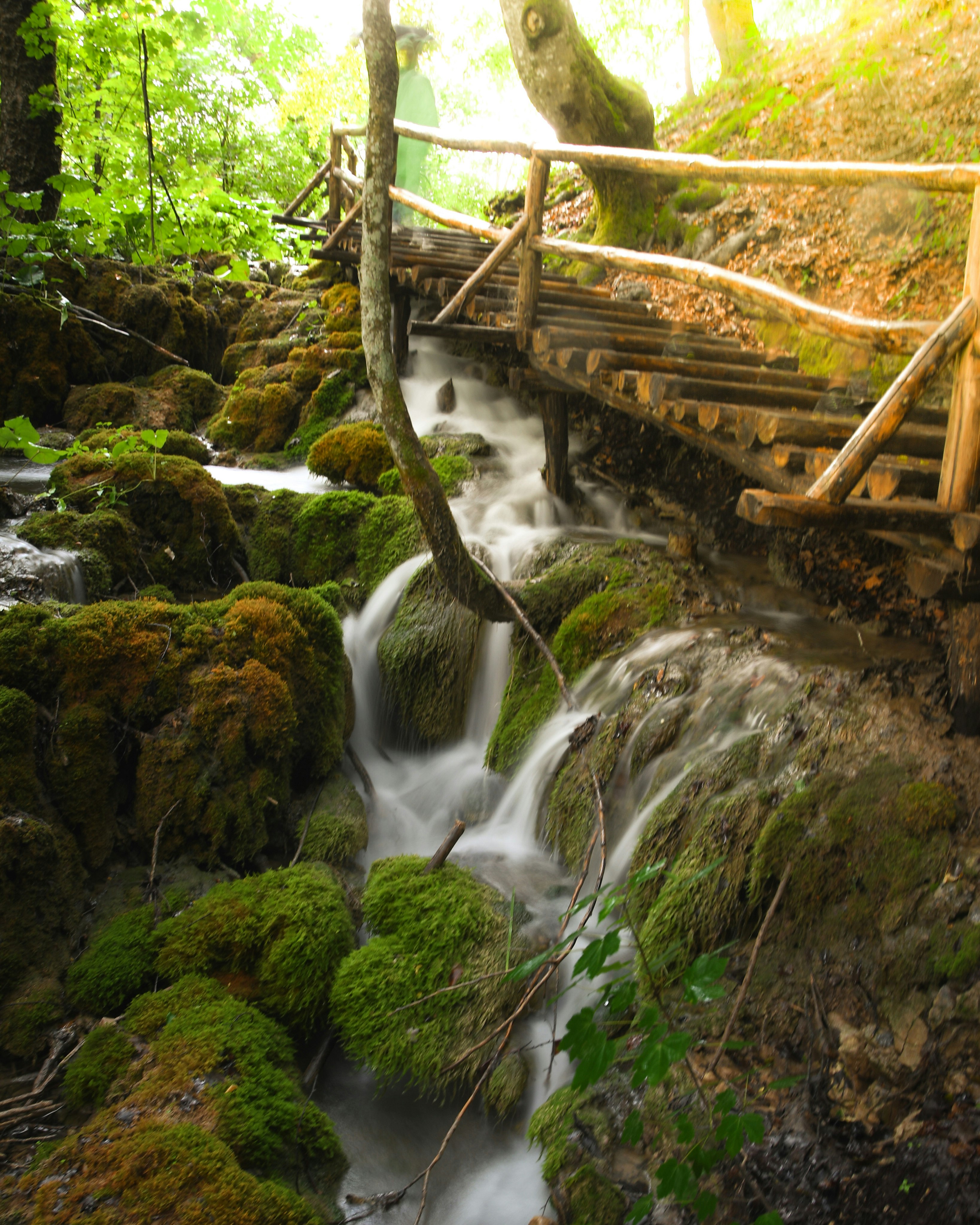 brown wooden bridge over river