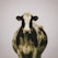 A black and white cow with distinct patches stands facing forward against a plain background. The tags in both ears are visible, indicating its identification.