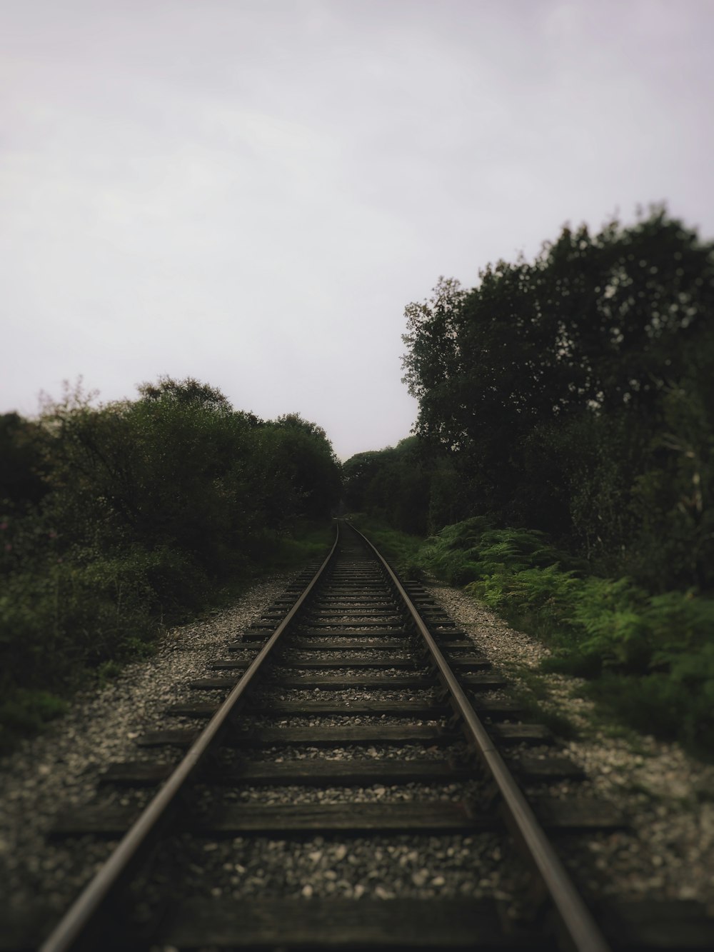 train rail between green trees during daytime