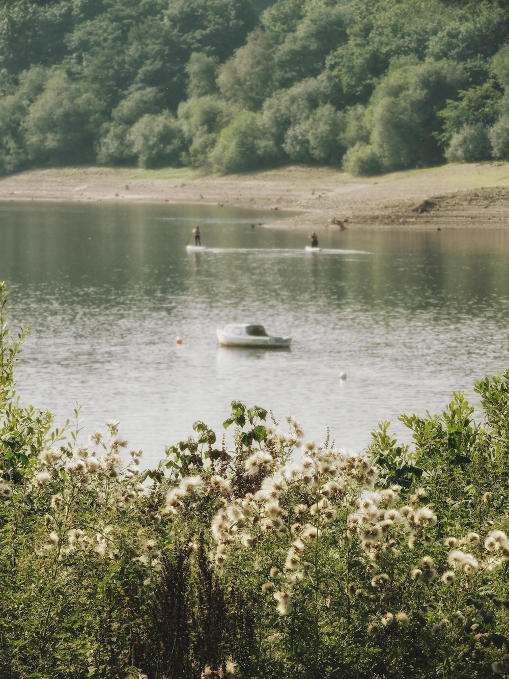 white boat on river during daytime