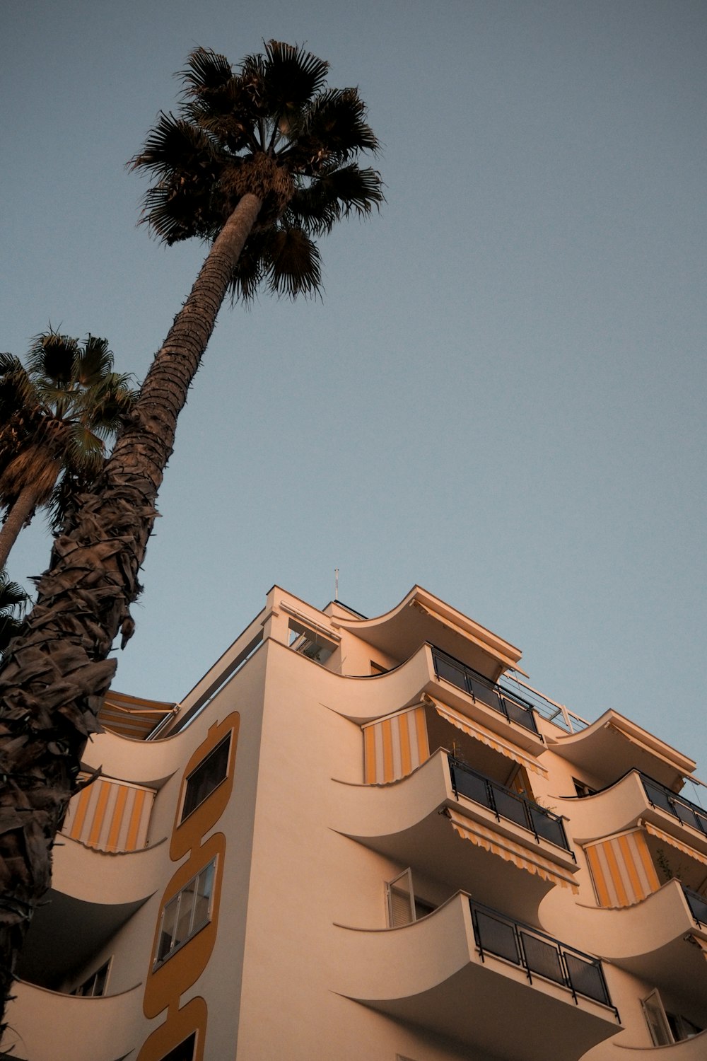 brown concrete building near palm tree during daytime