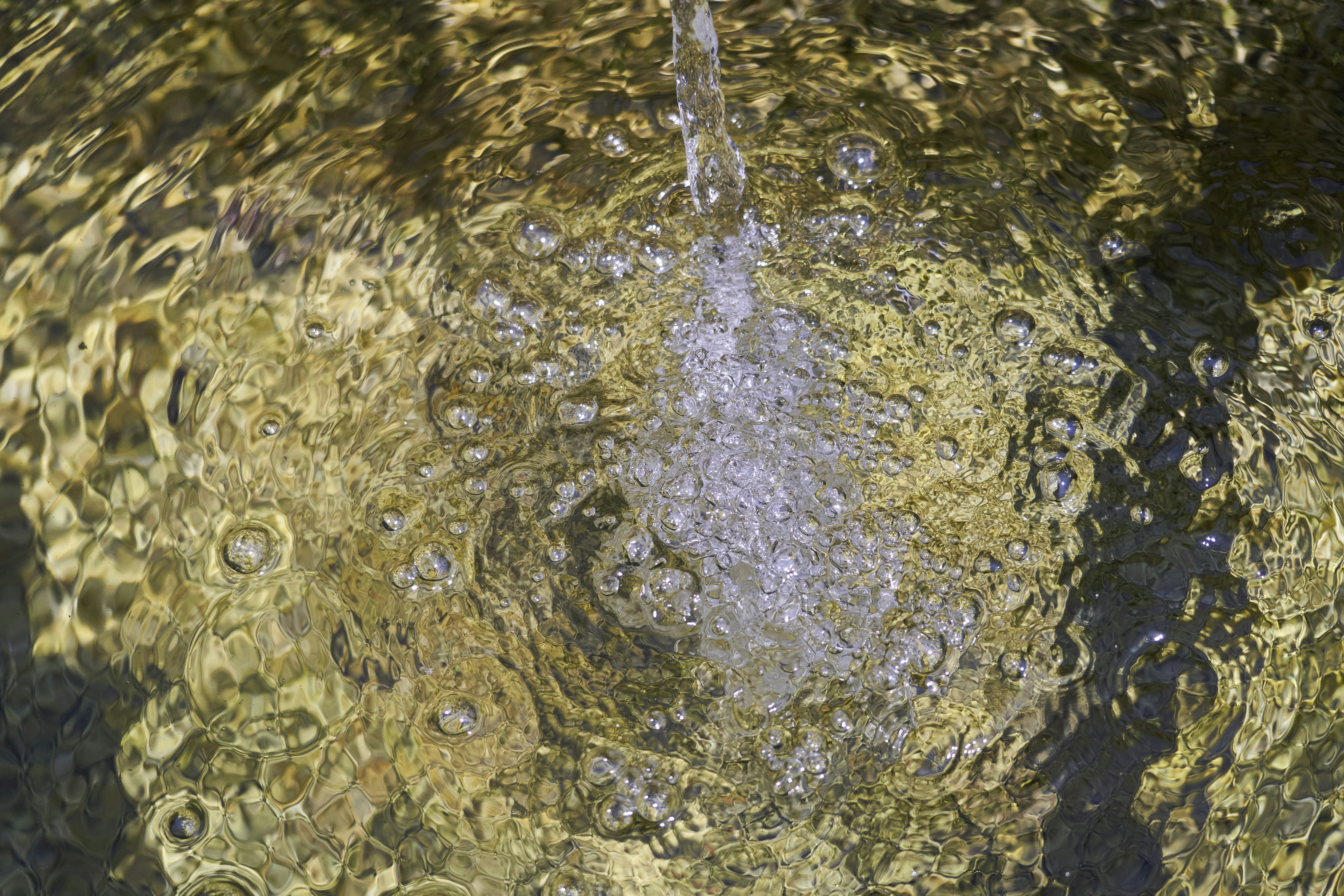 Close-up of a hydroponic system with nutrient-rich water
