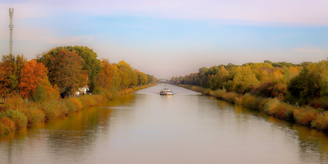 white boat on river between green trees during daytime