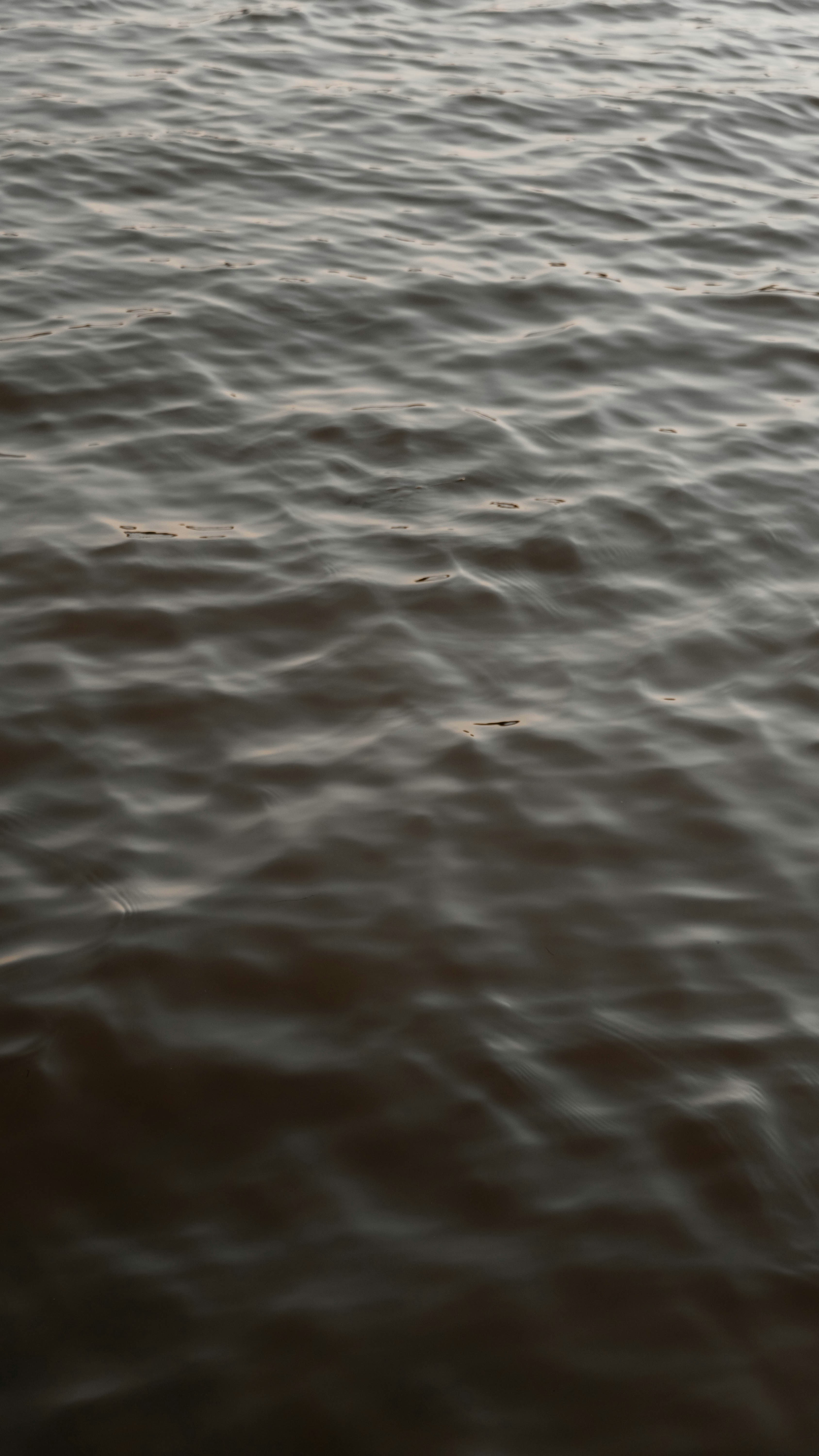 Photo by eternalseconds