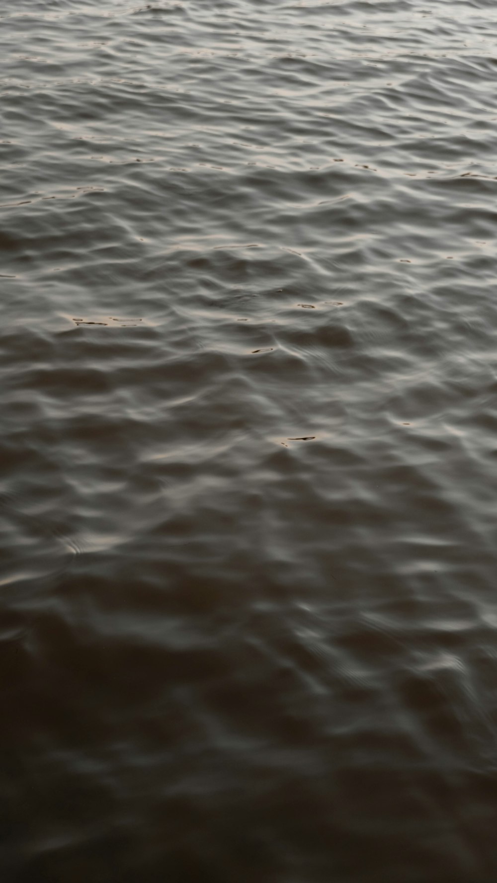 close up photo of body of water