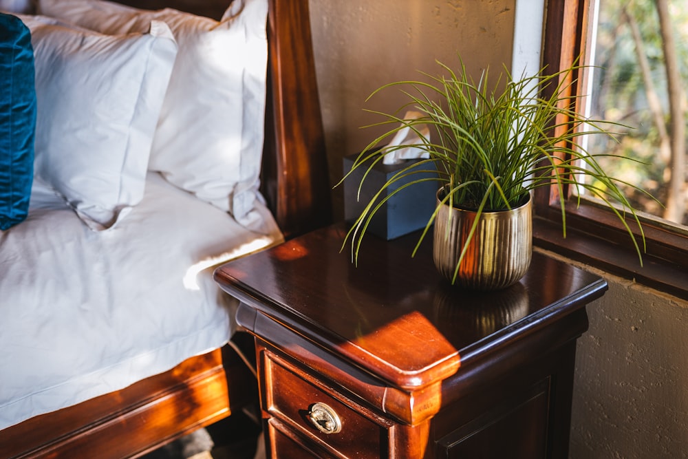 green plant on brown wooden table