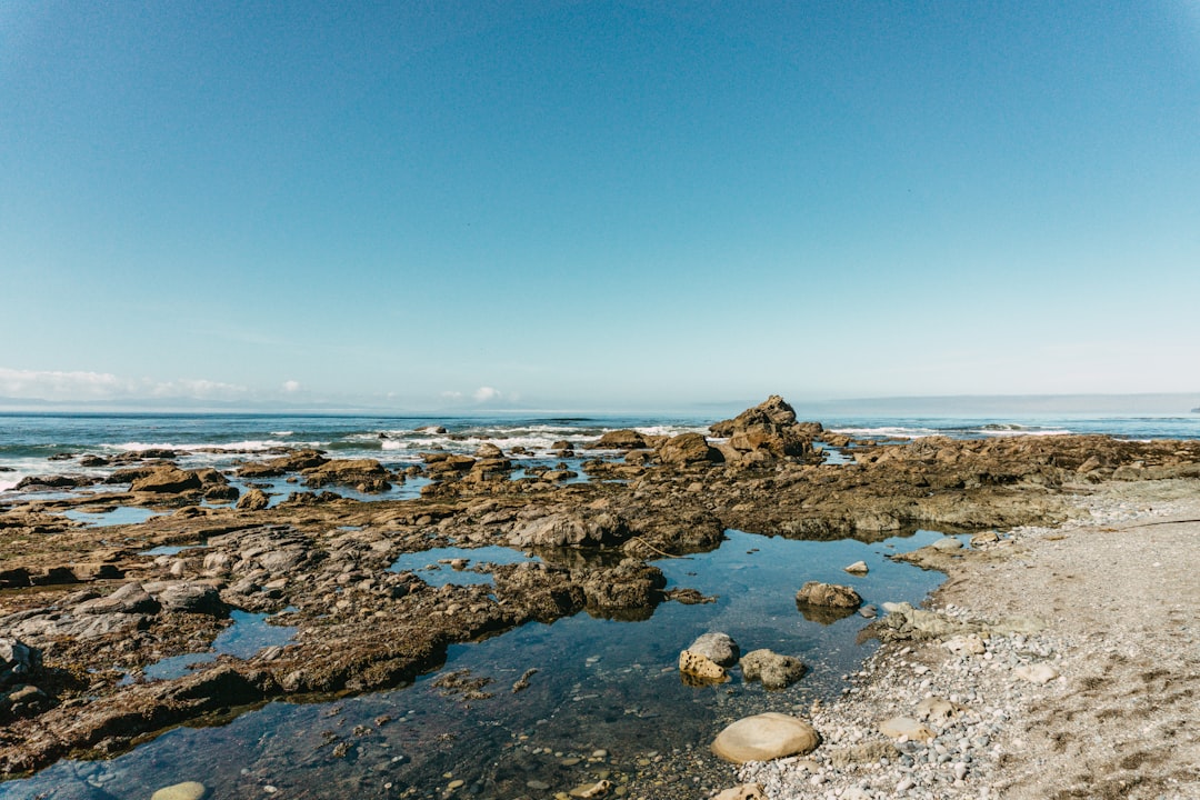 brown rocks on seashore during daytime