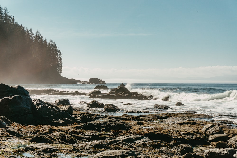 ocean waves crashing on rocks during daytime