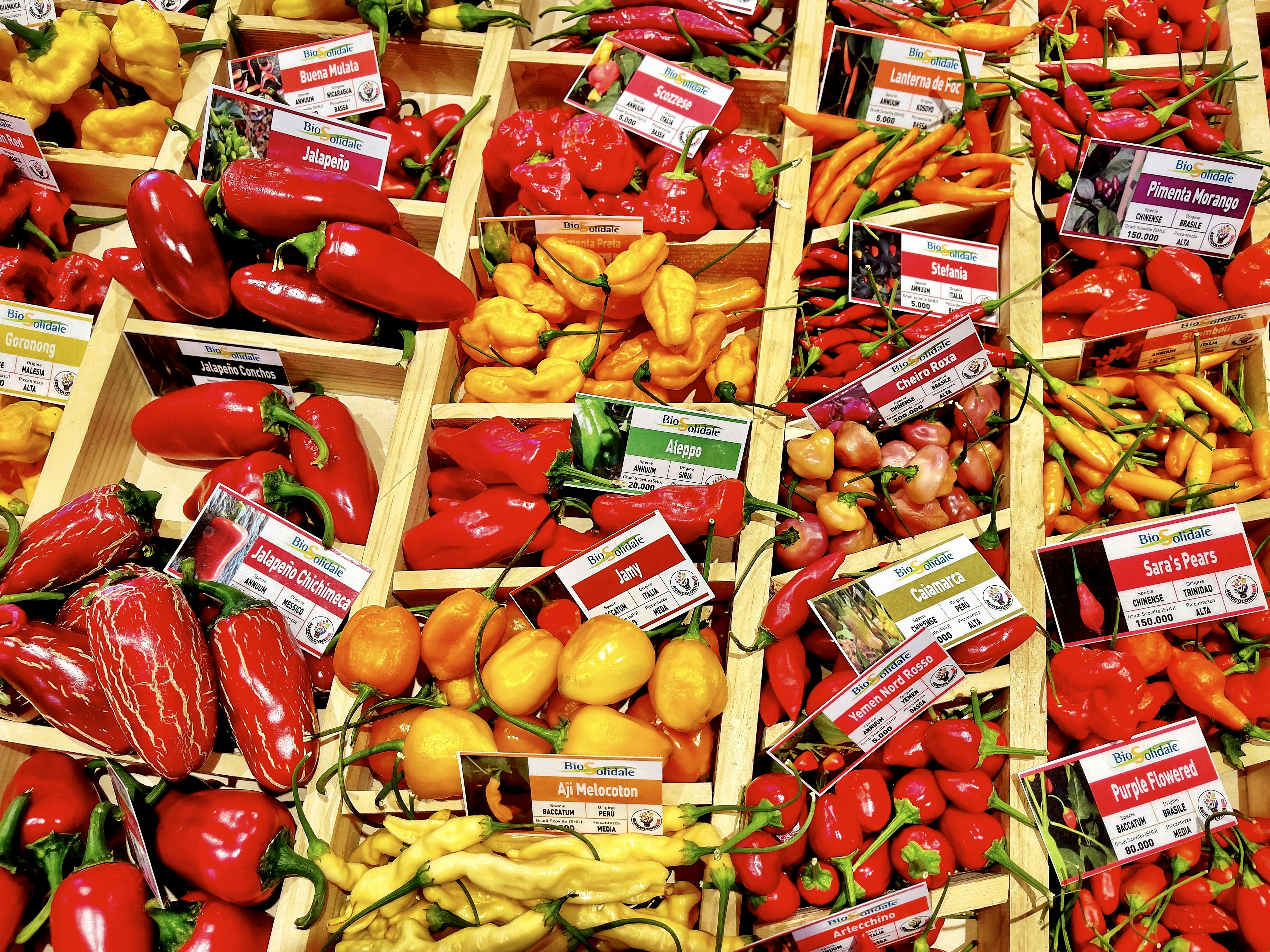 chili peppers wallpaper, wallpaper, Menghilangkan Panas Cabai di Tangan: 5 Cara Cepat dan Efektif 4