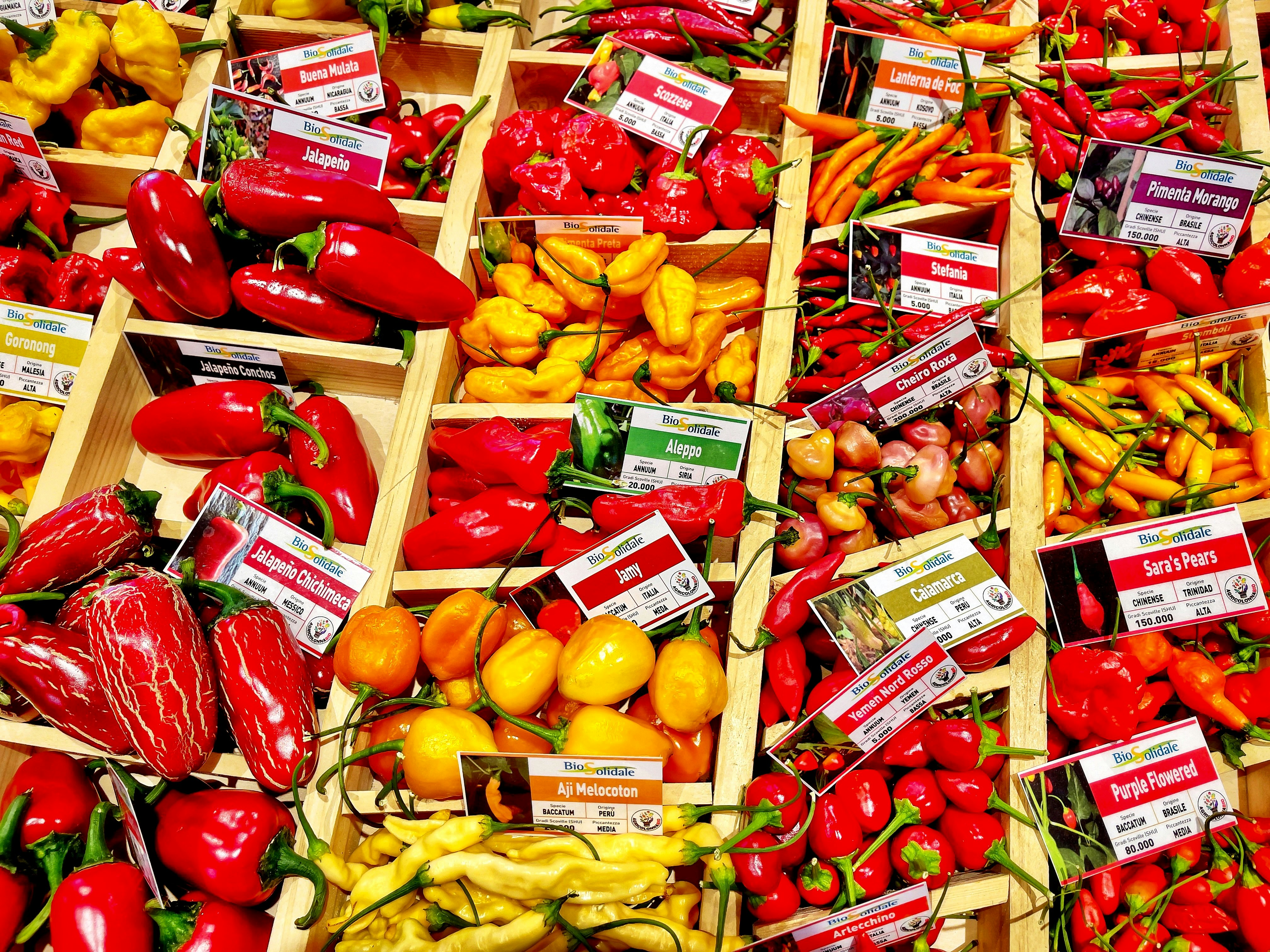 red and yellow bell peppers