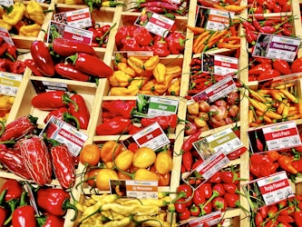 Découvrez Dian Dung : Pionnier des Saveurs Authentiques en RDC