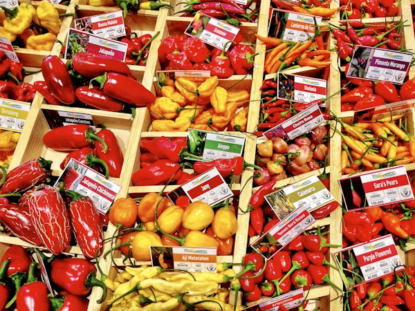 Découvrez Dian Dung : Pionnier des Saveurs Authentiques en RDC