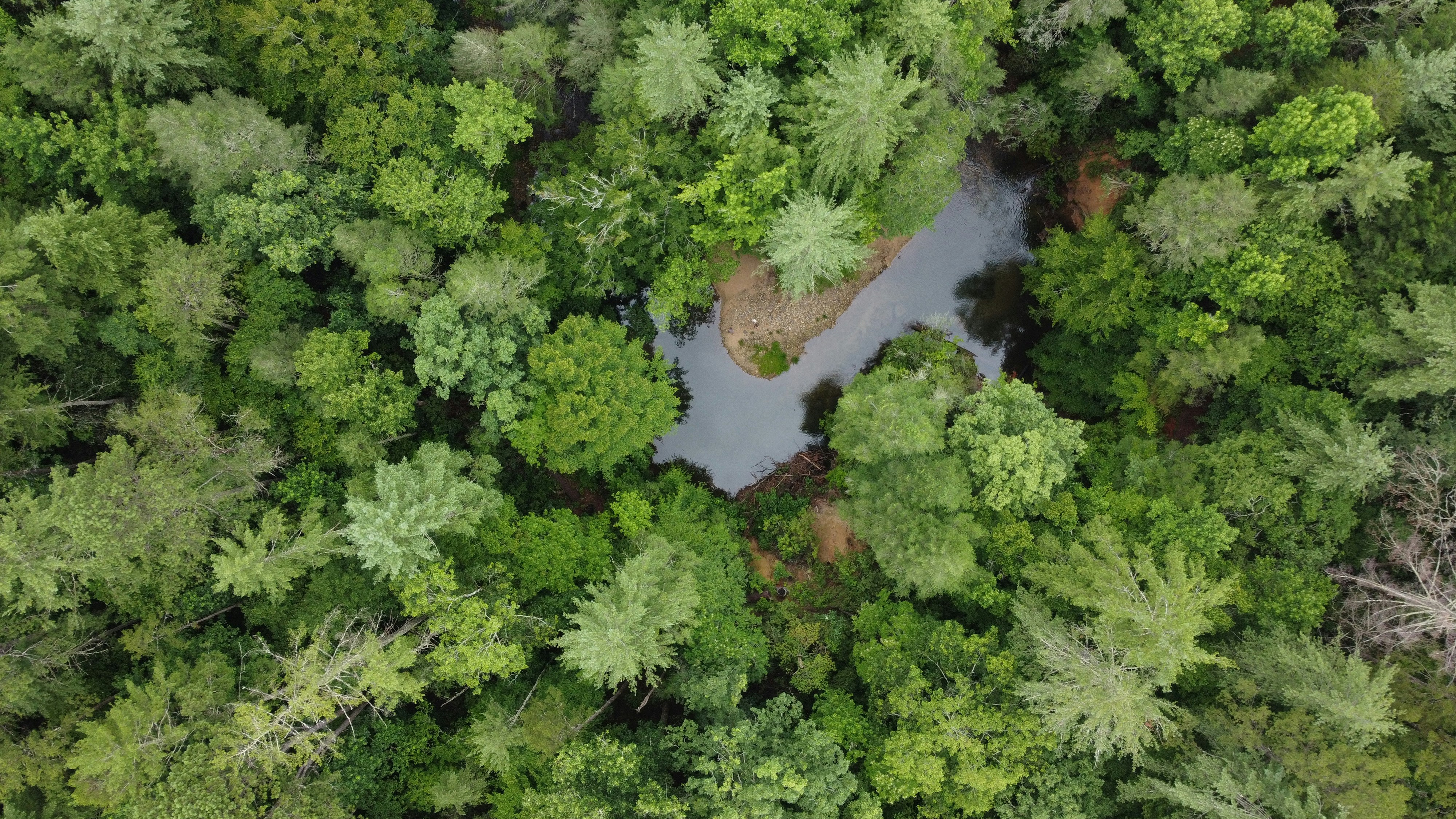 Photo by thebradleygossett