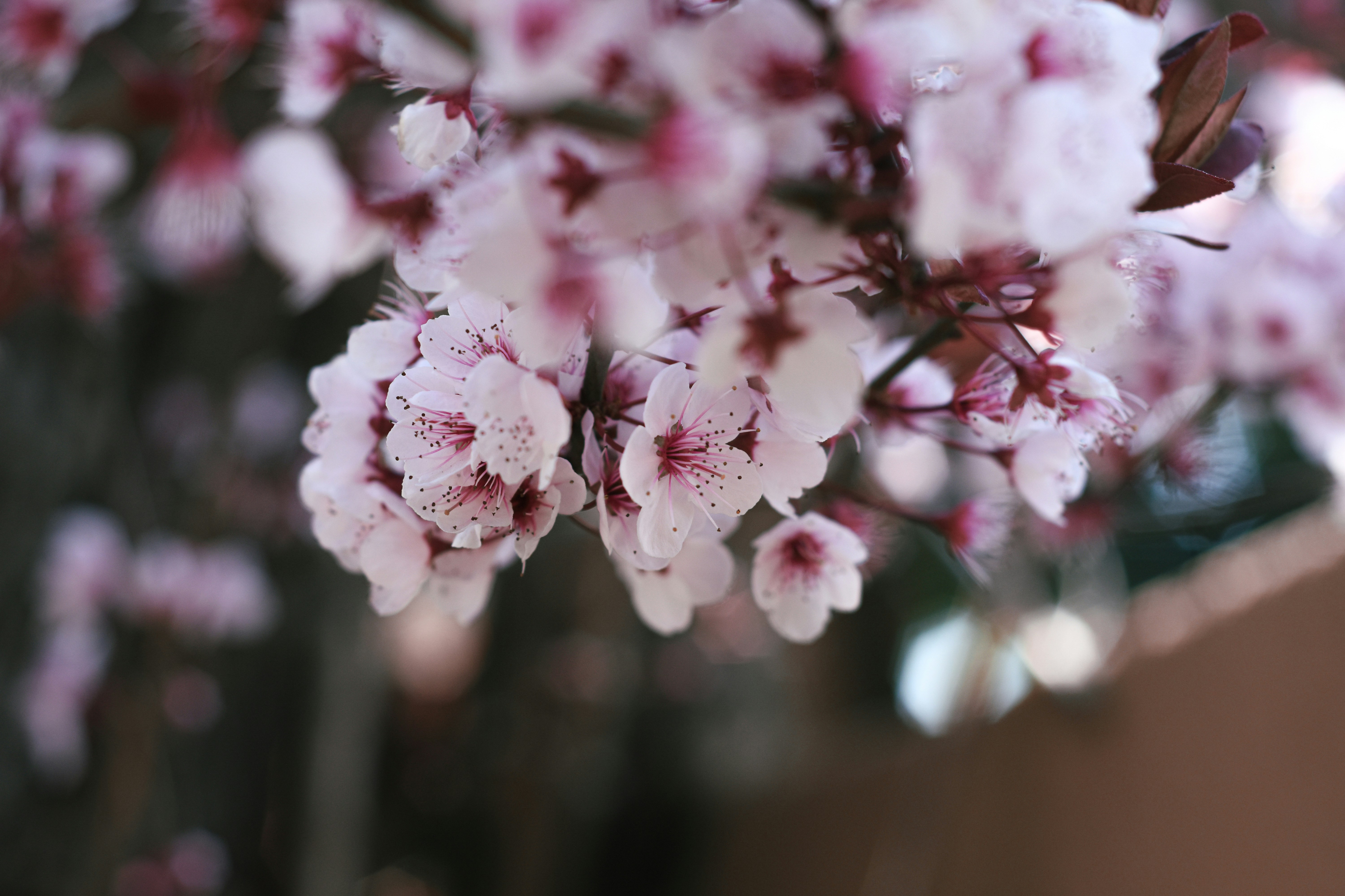 Photo by kendalpercimoney