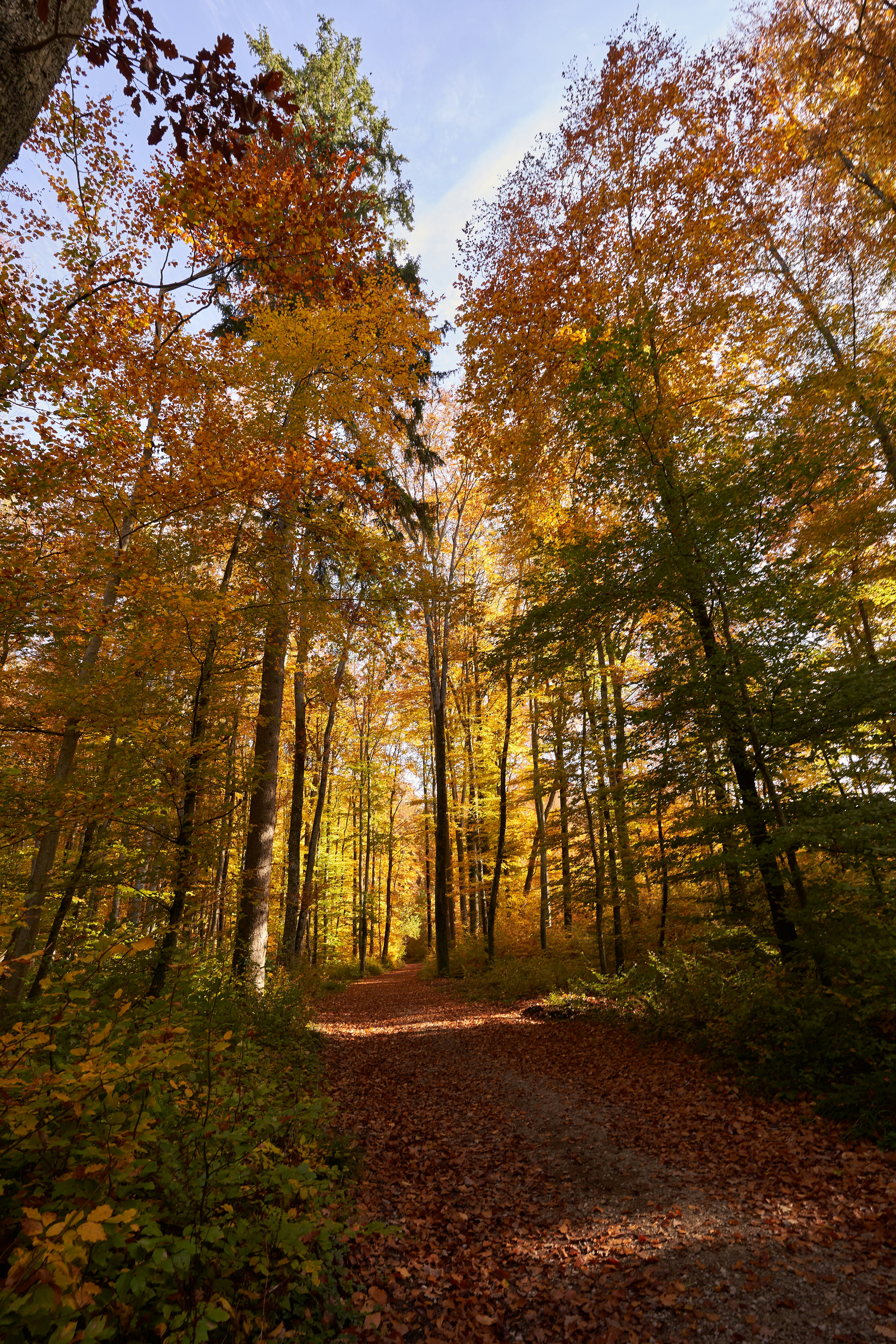 Photo by wolfgang_hasselmann