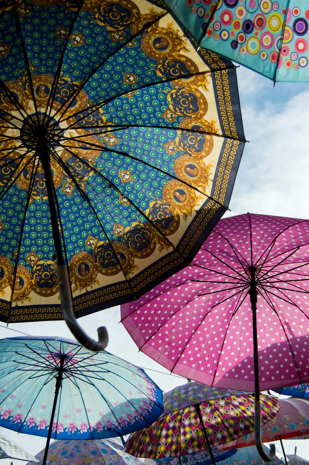 pink and blue floral umbrella