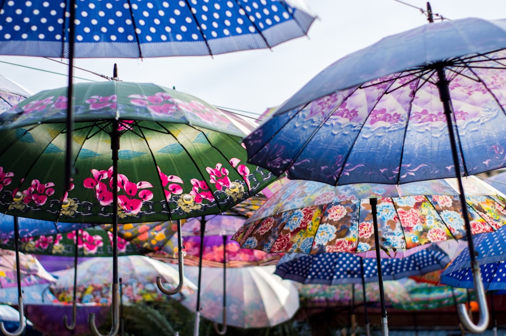 blue green and white umbrella