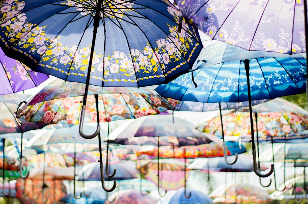 blue green and white floral umbrella