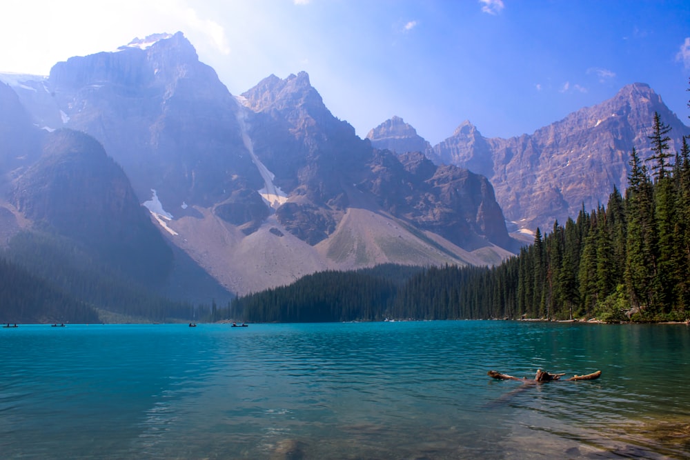 people riding on boat on lake near green trees and mountains during daytime