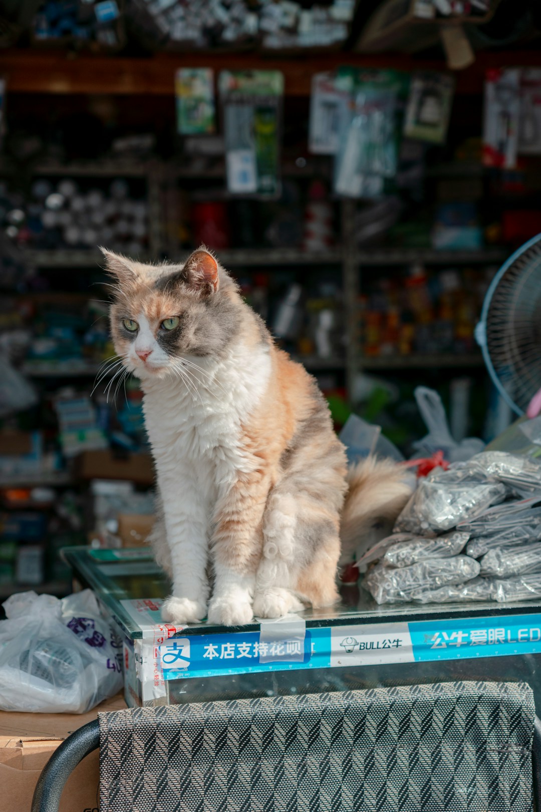 pet supplies shopify store