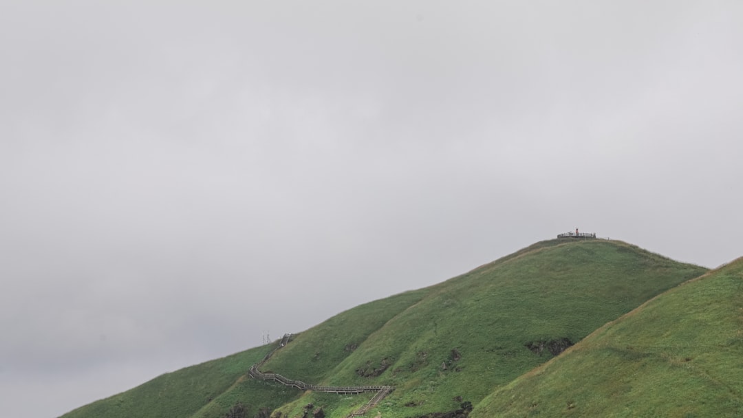 green grass field under white sky during daytime