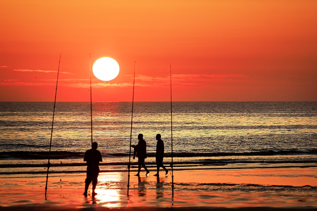 silhouette of people on beach during sunset