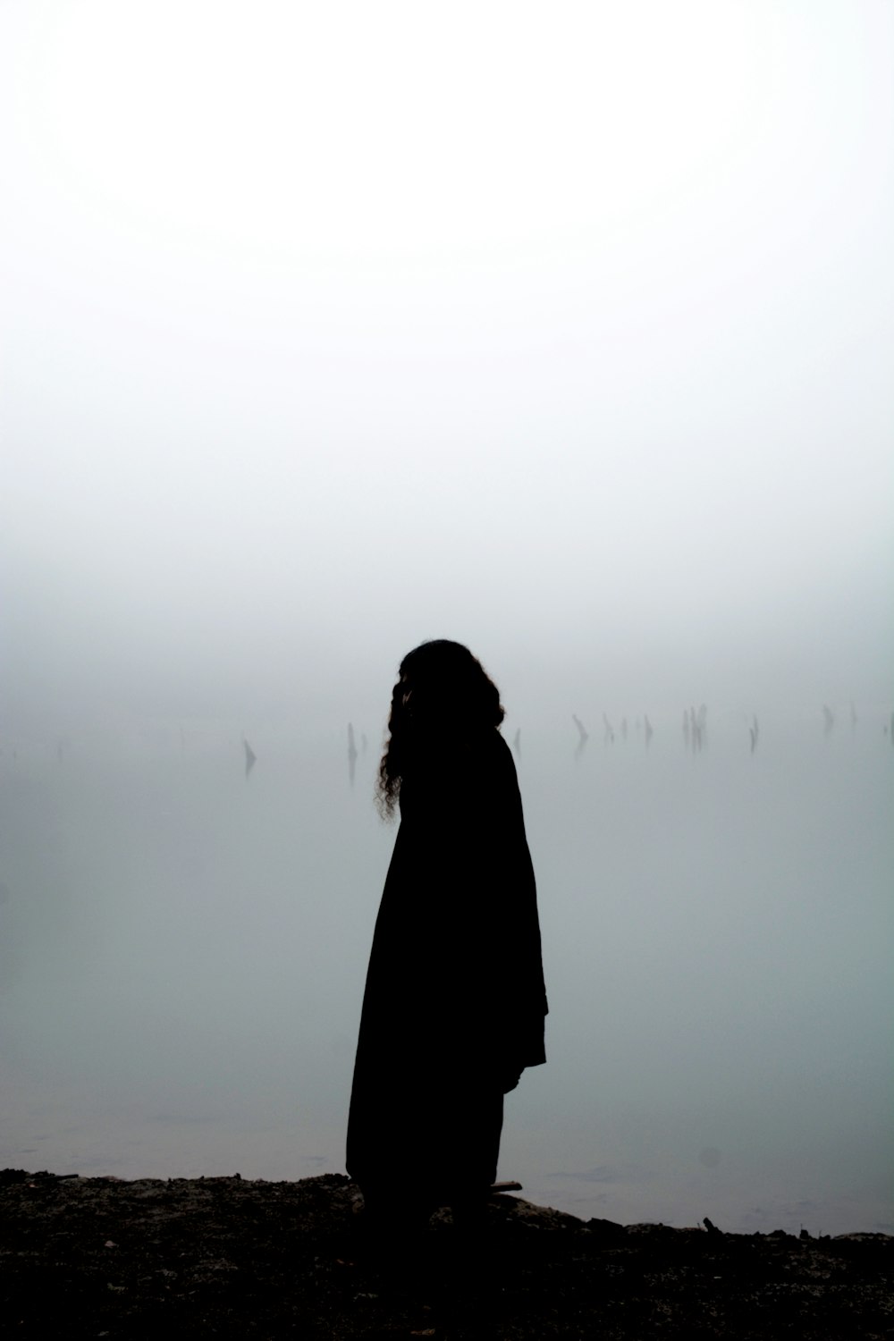 silhouette of woman standing on foggy weather