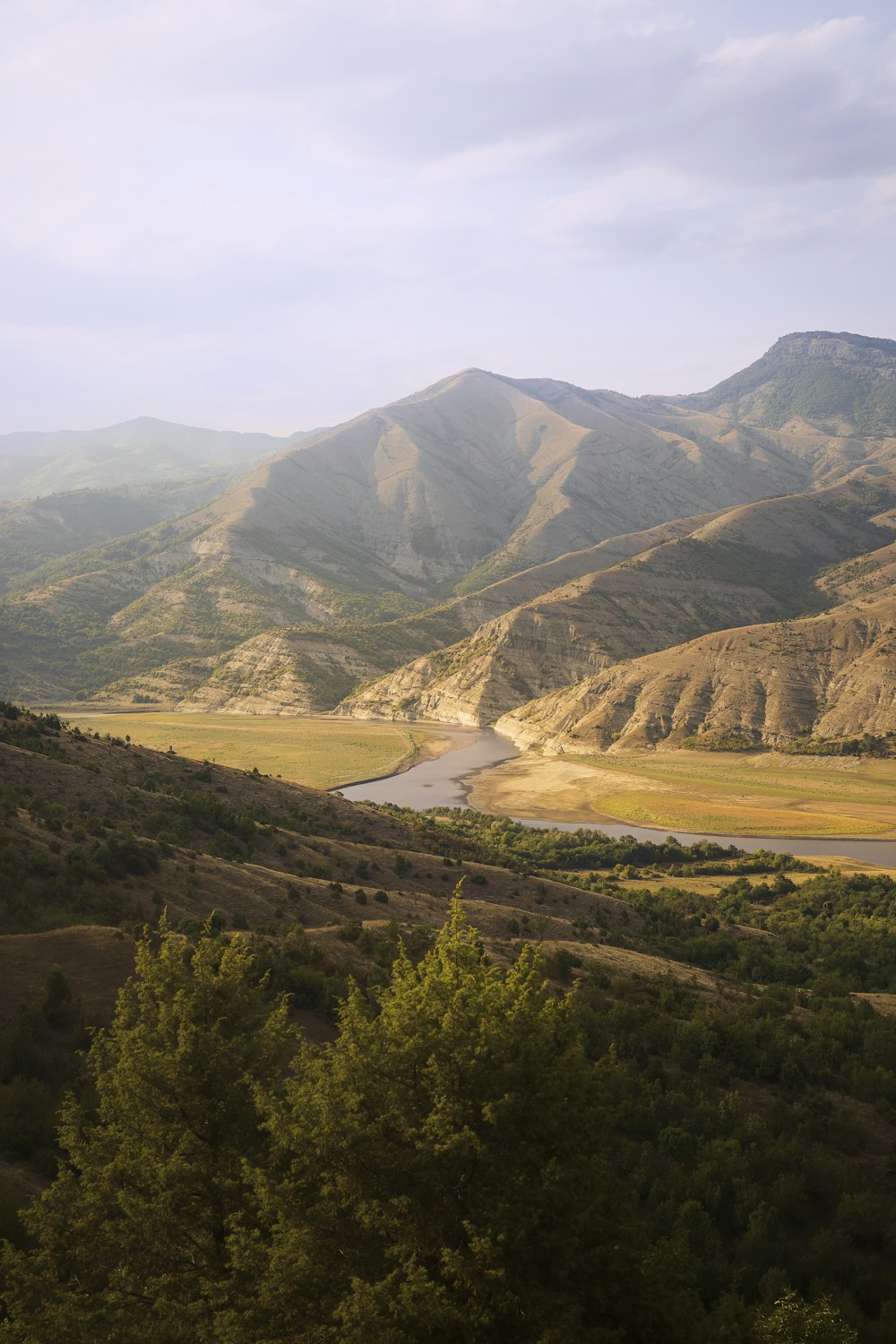 green trees on brown mountain during daytime