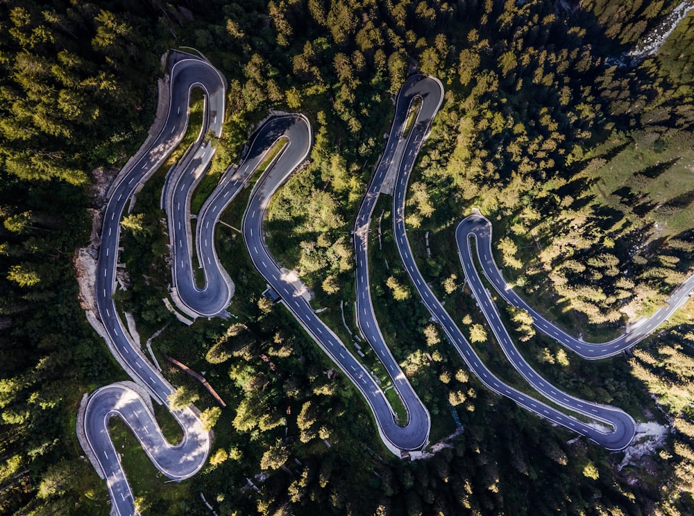 aerial view of green trees during daytime