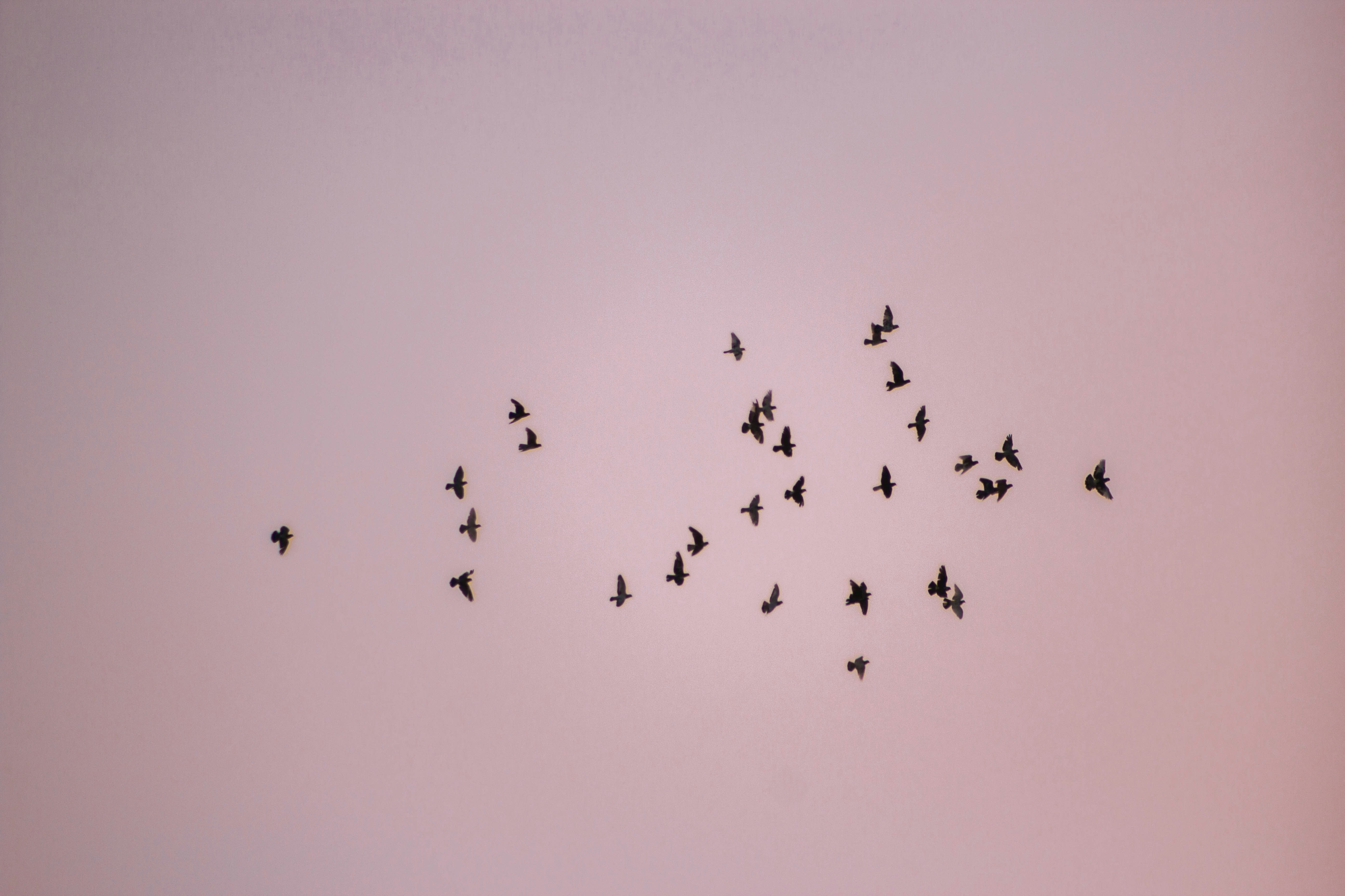 Photo by hamzaadildar