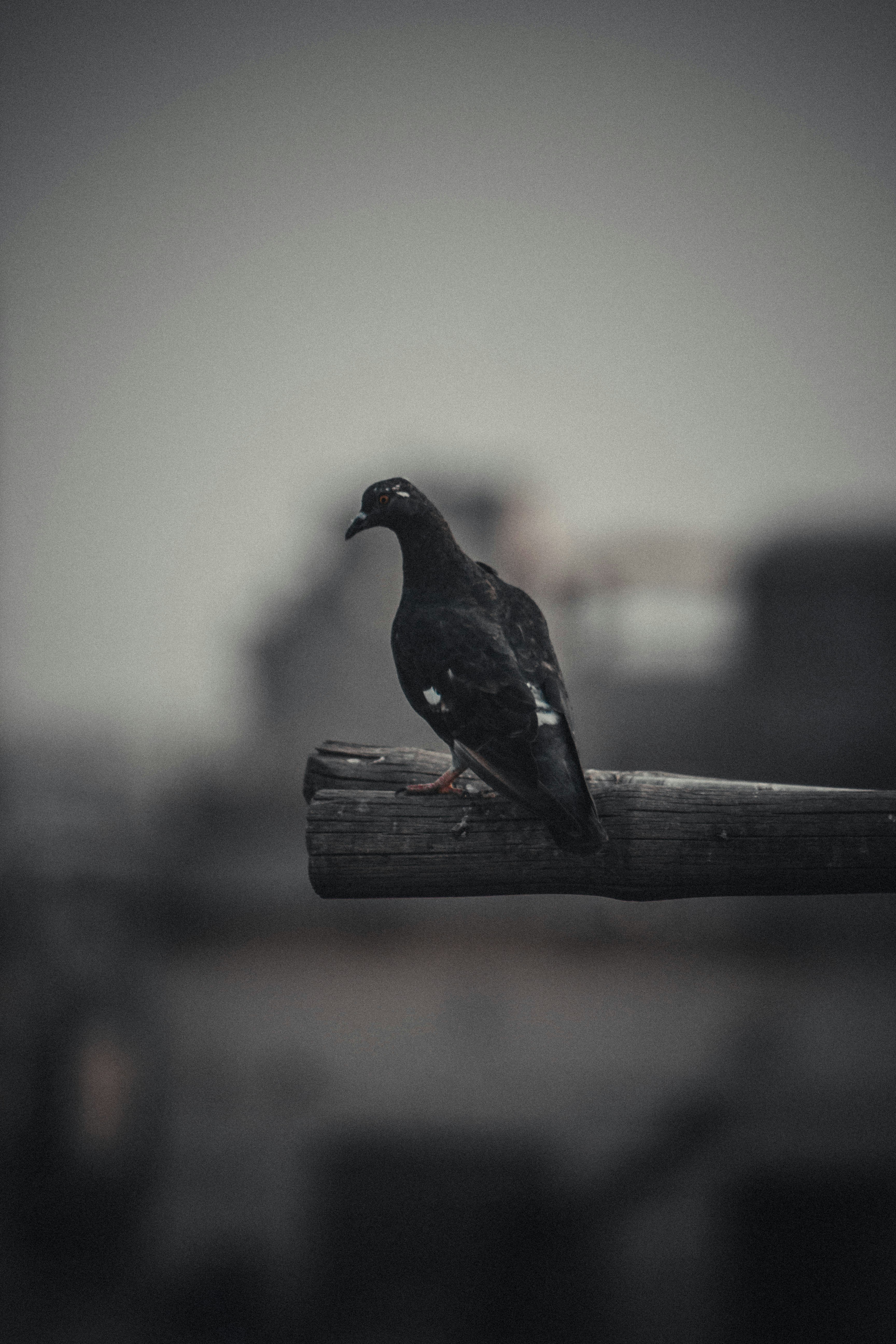 Photo by hamzaadildar