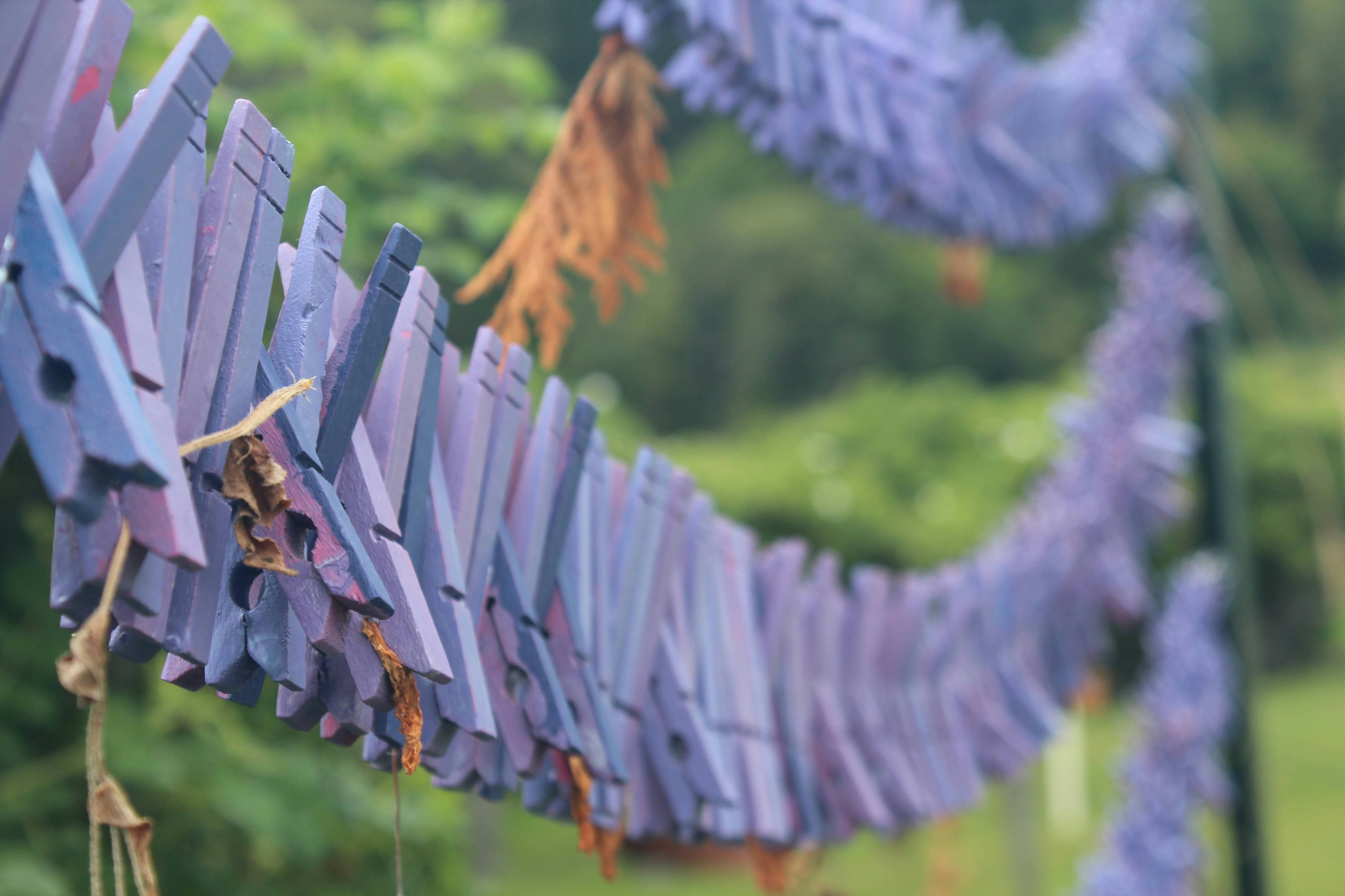 clothes hanger hanged on clothes line