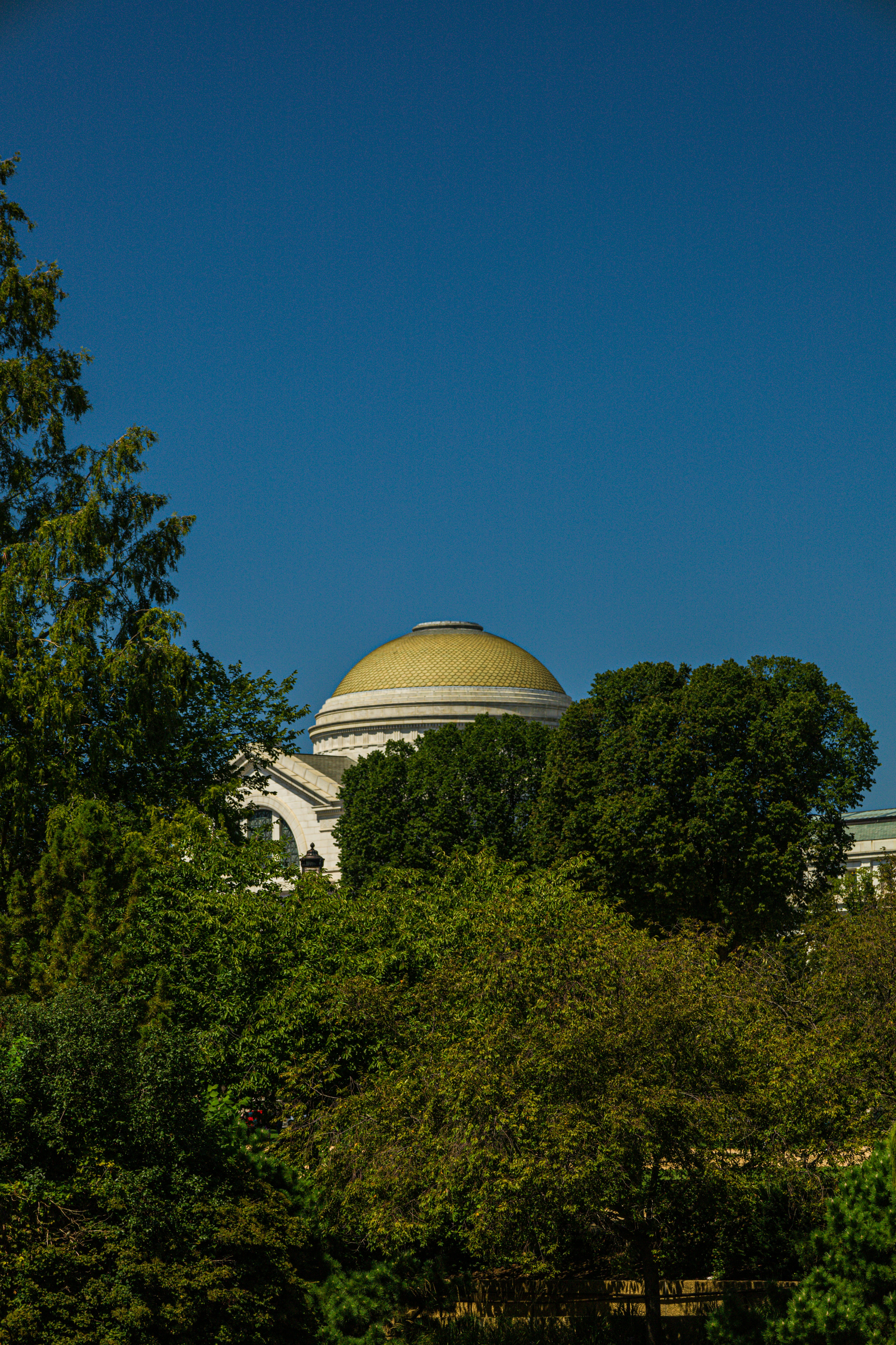 Photo by elojoboricua