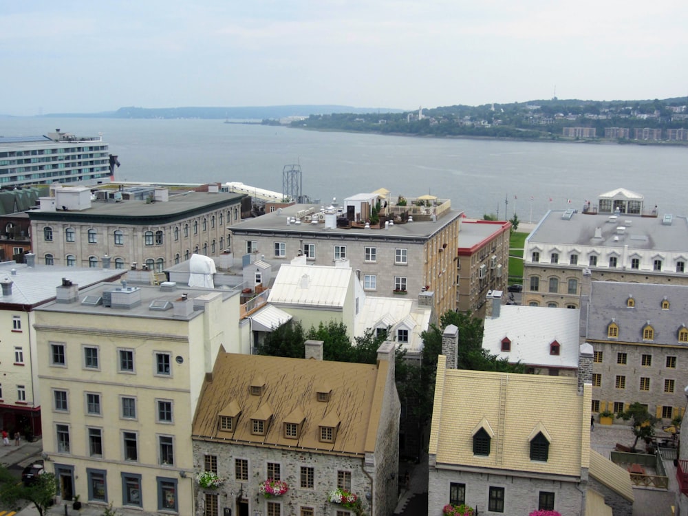 white and brown concrete buildings near body of water during daytime