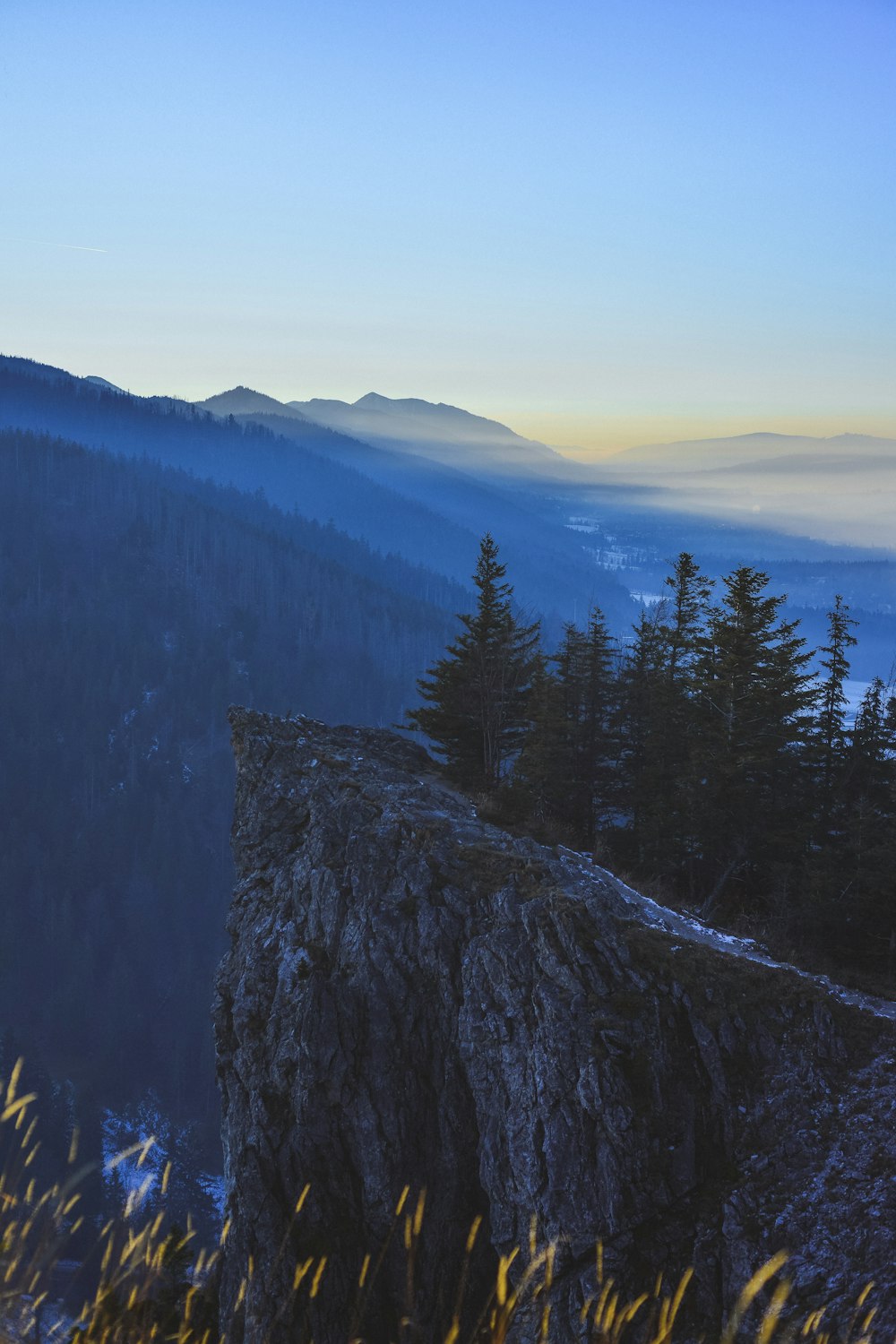 green pine trees on mountain during daytime