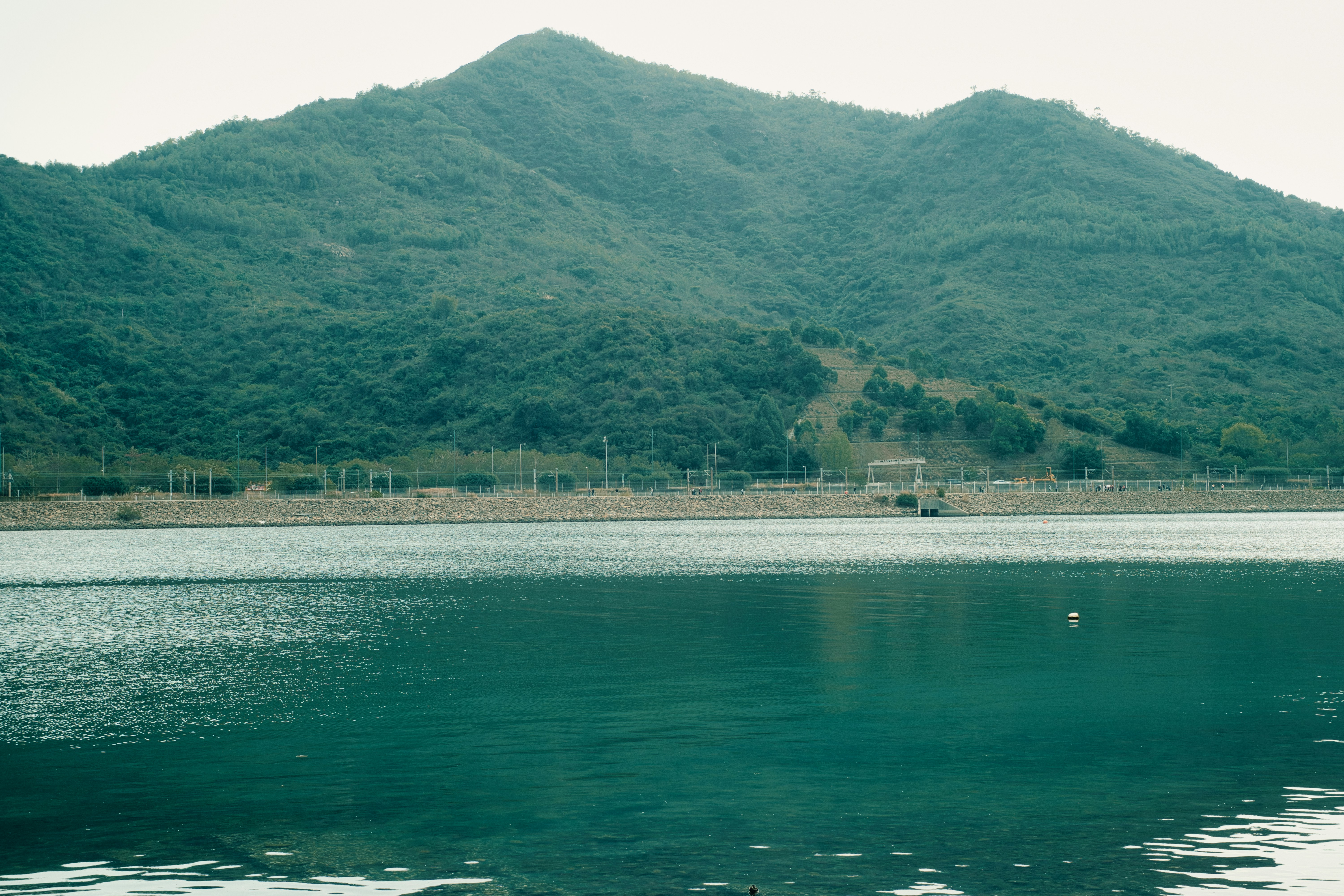 Photo by thomaskinto