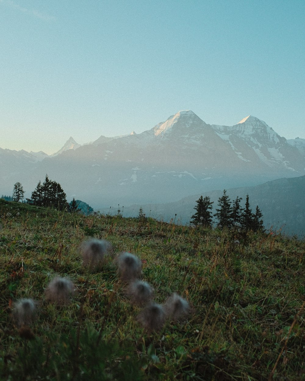 green grass field near mountain during daytime