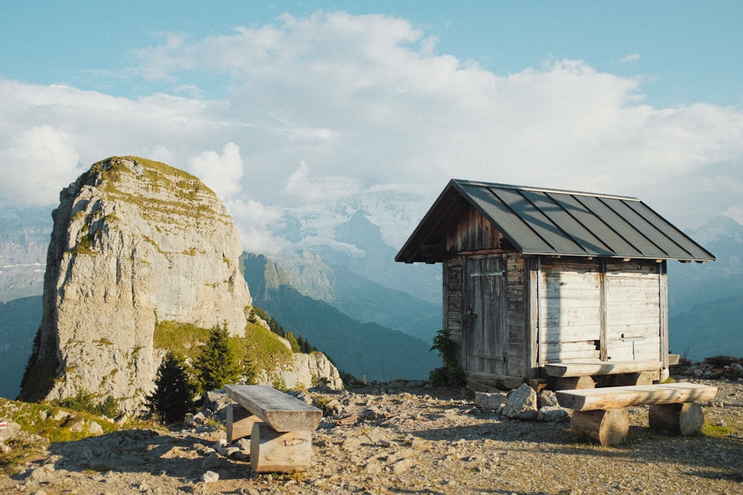 brown wooden house near green trees and mountain during daytime