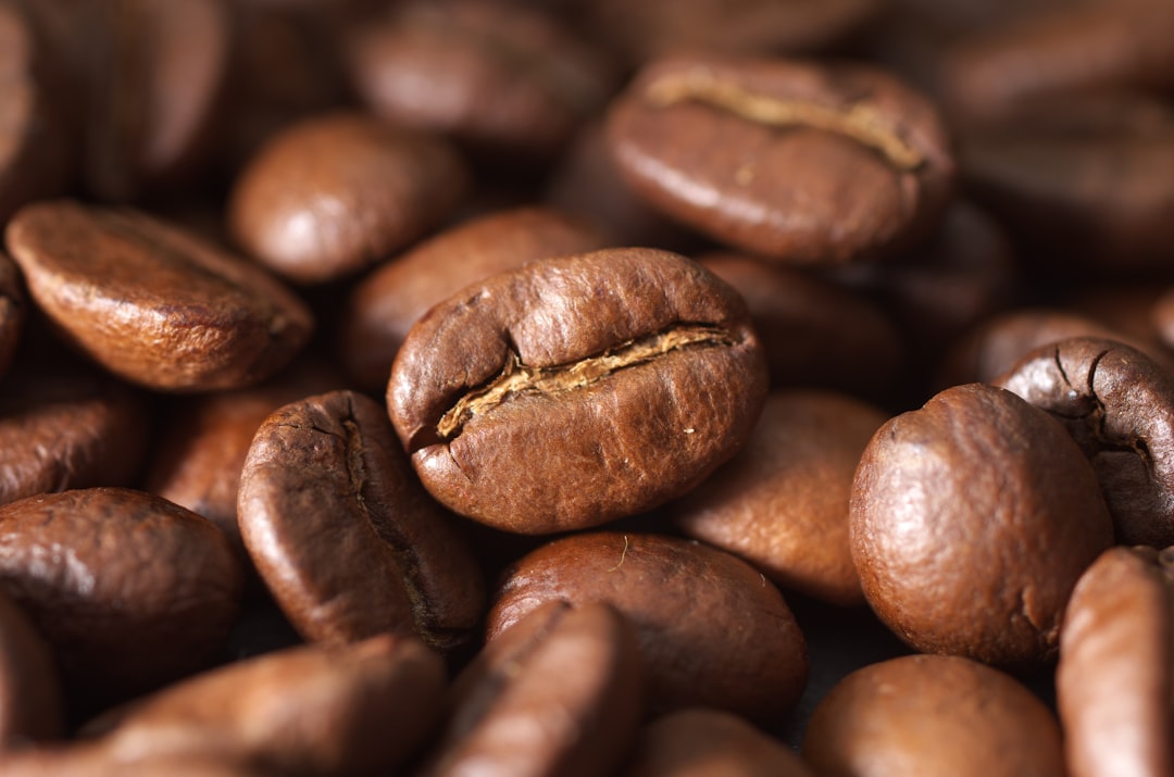 brown coffee beans in close up photography