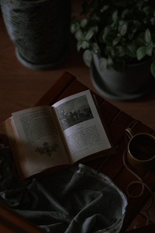 opened book on brown wooden table