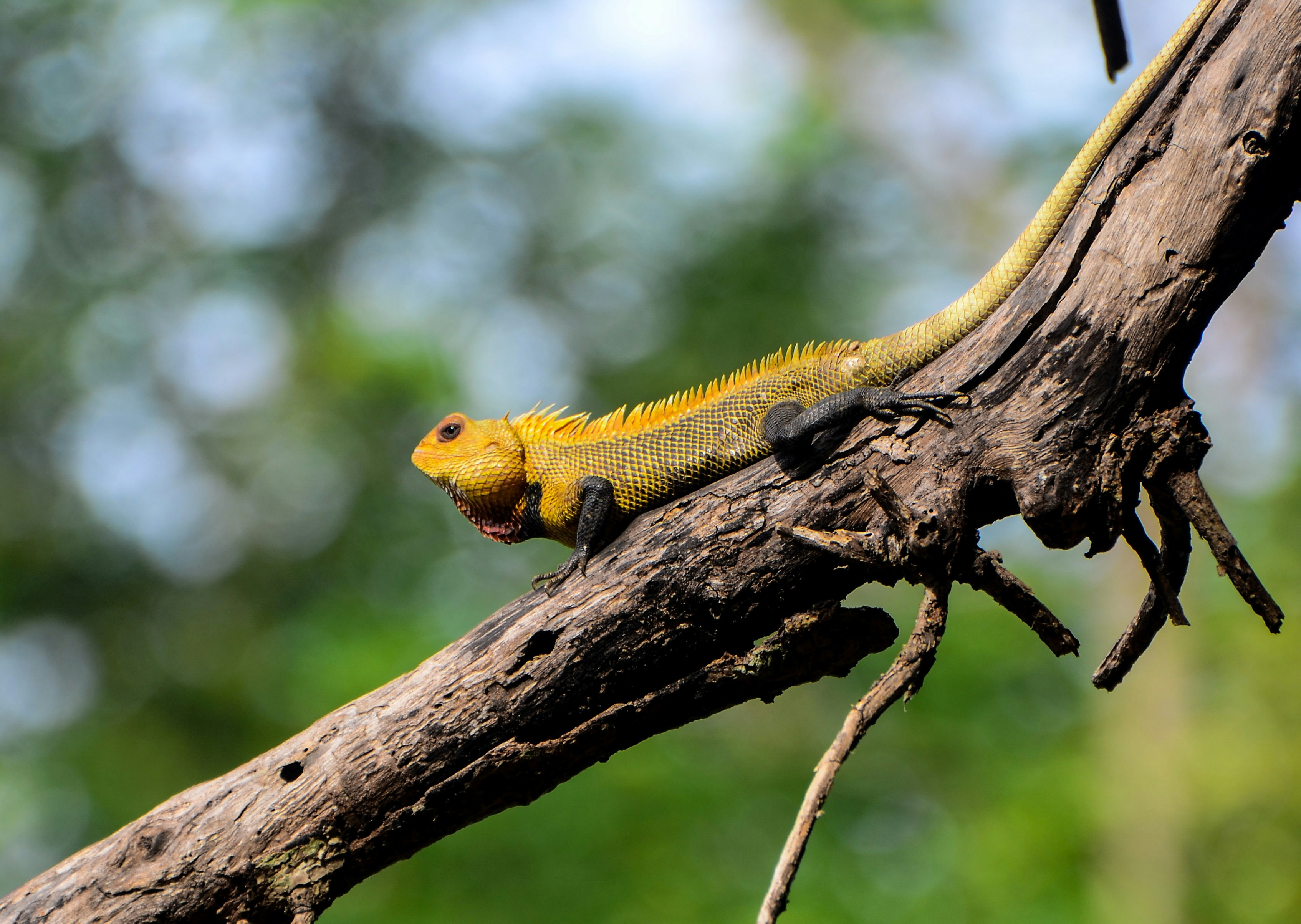 Photo by ramkumar810