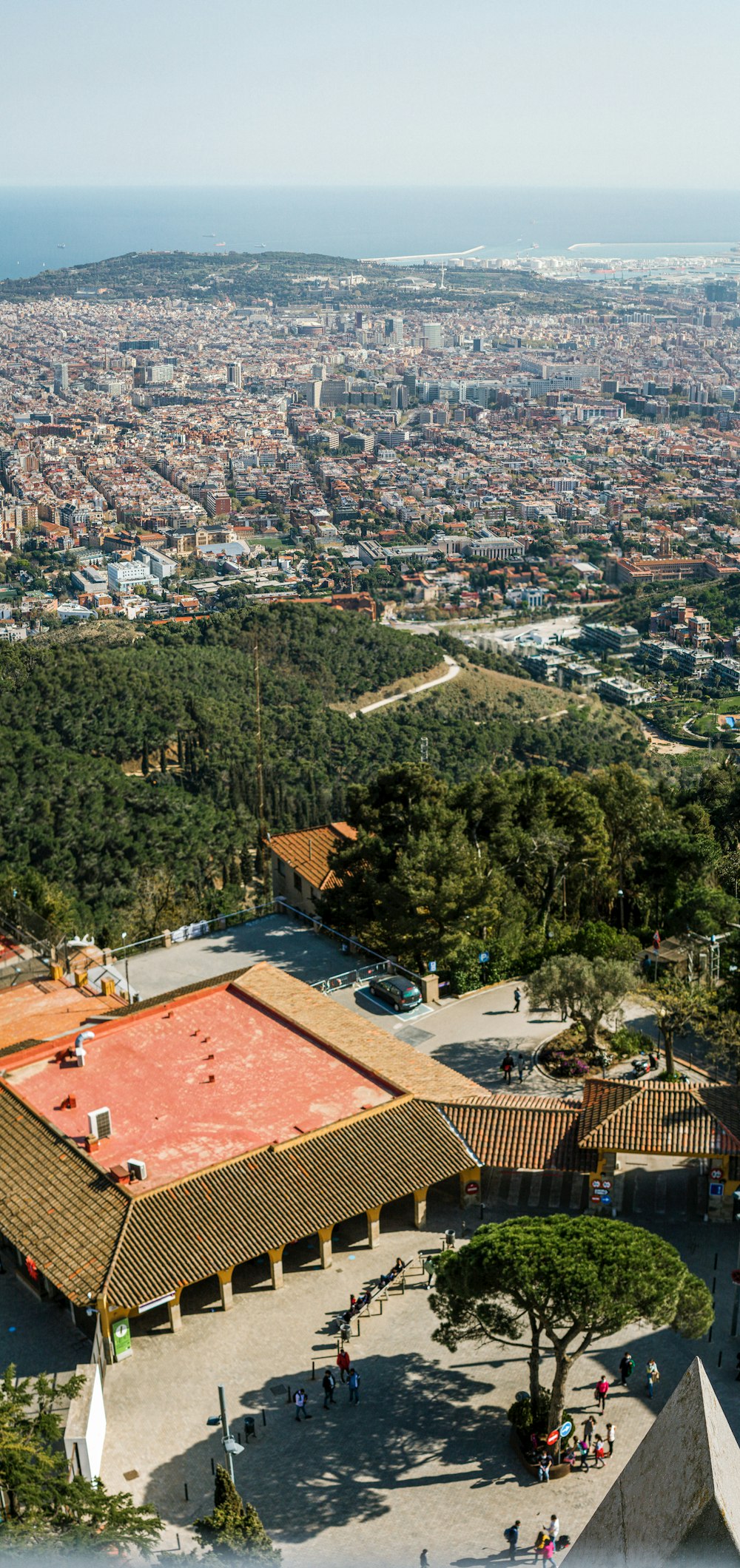 Vista aérea de árboles verdes y casas durante el día