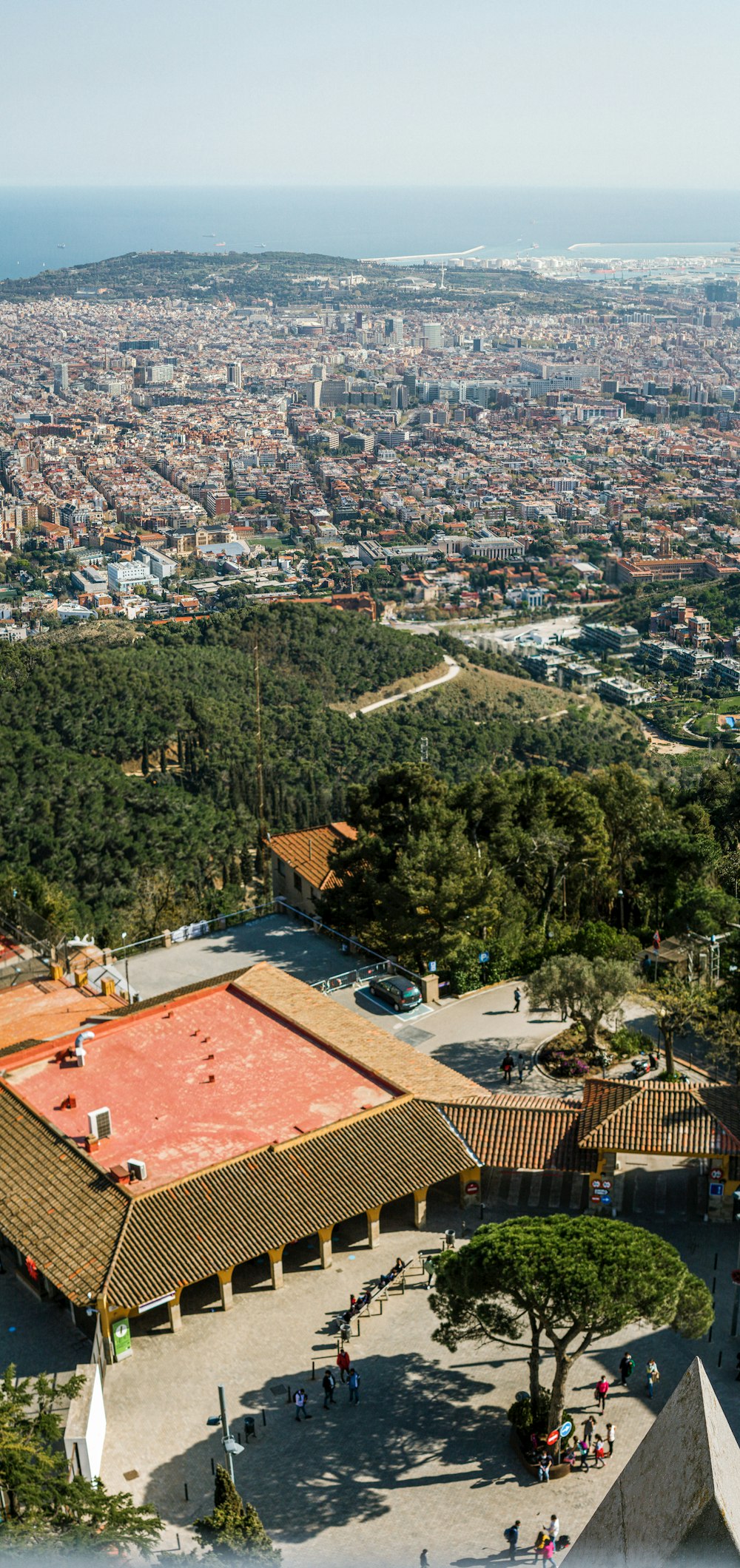 aerial view of green trees and houses during daytime