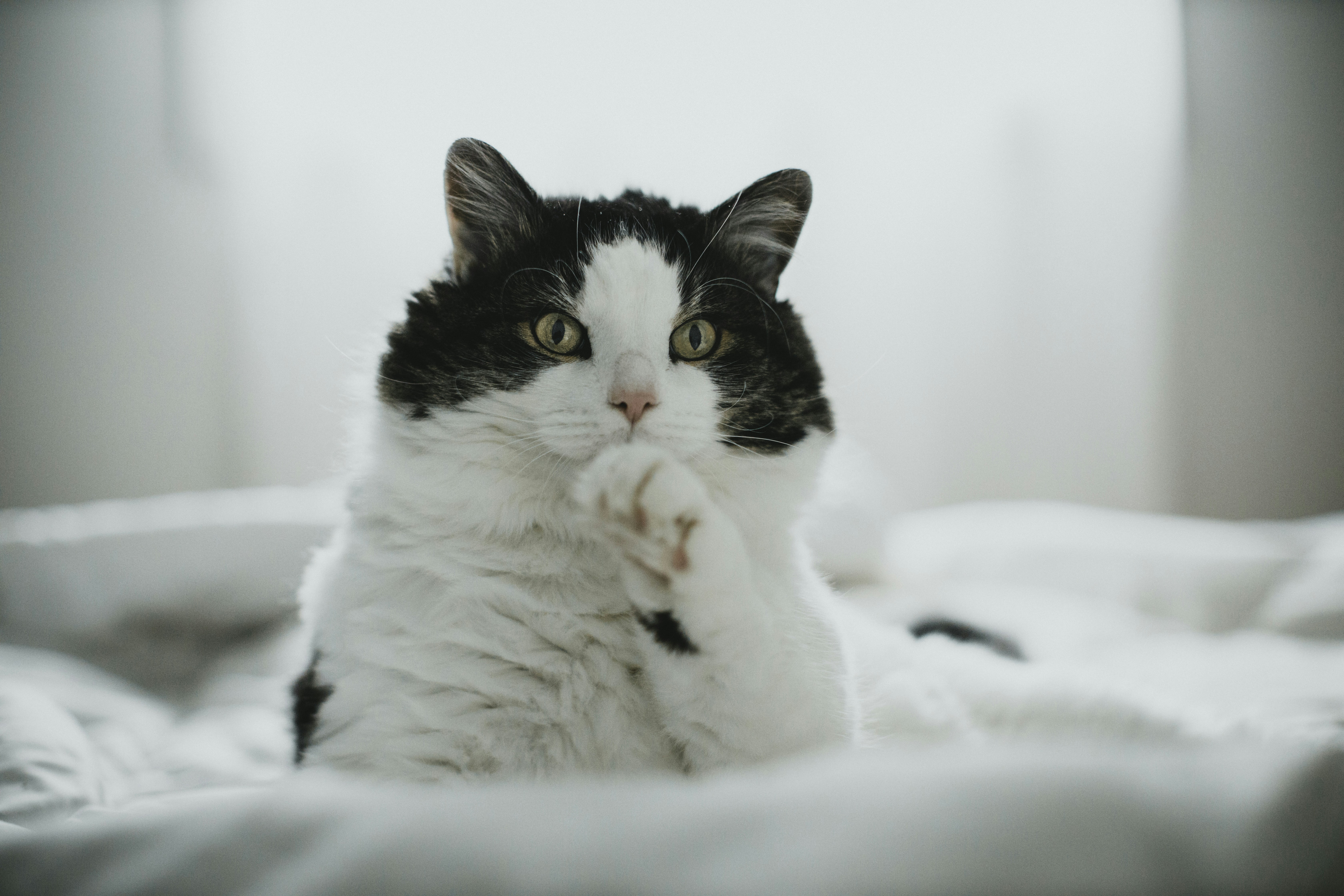 Photo by theshuttervision