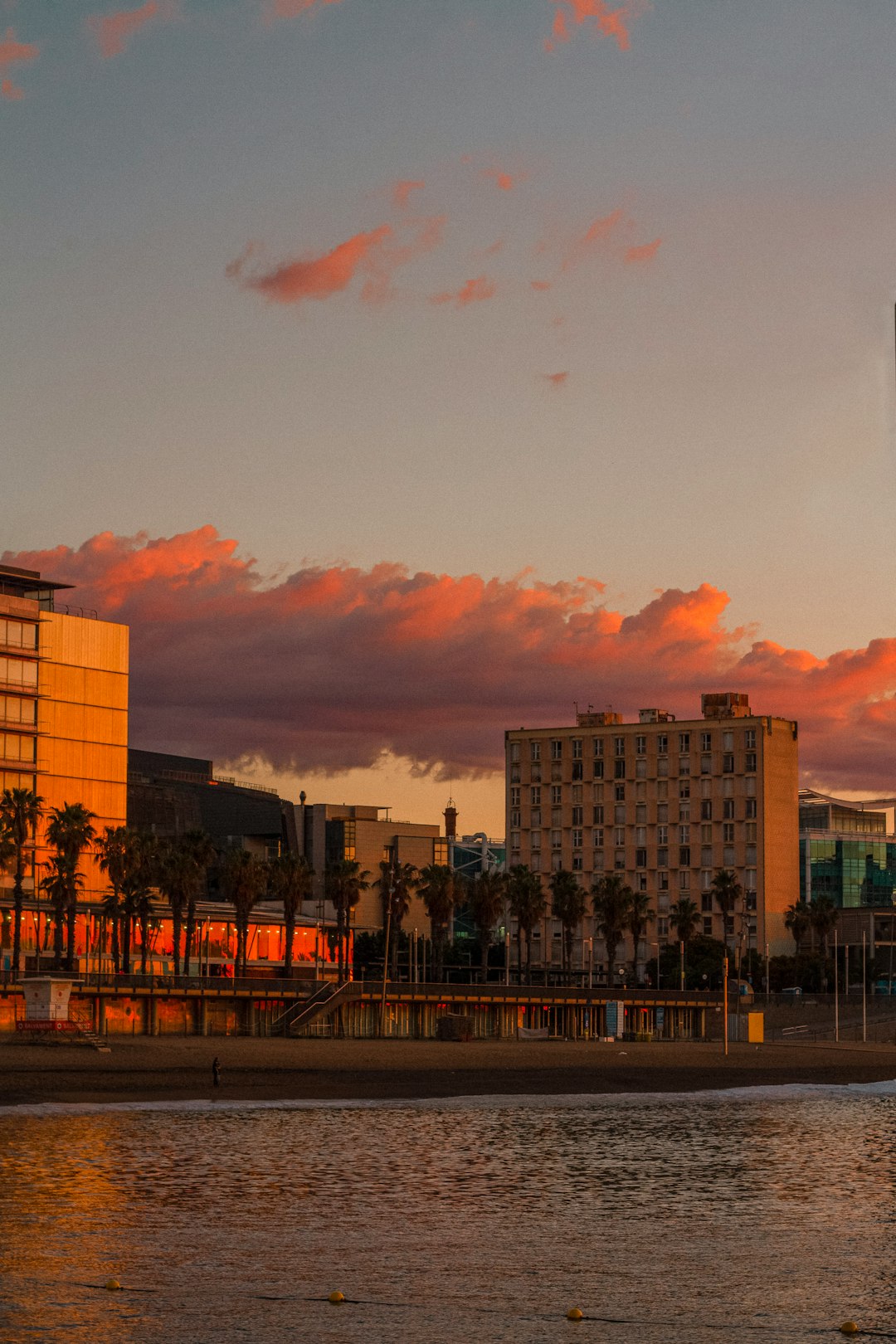 brown concrete building during sunset