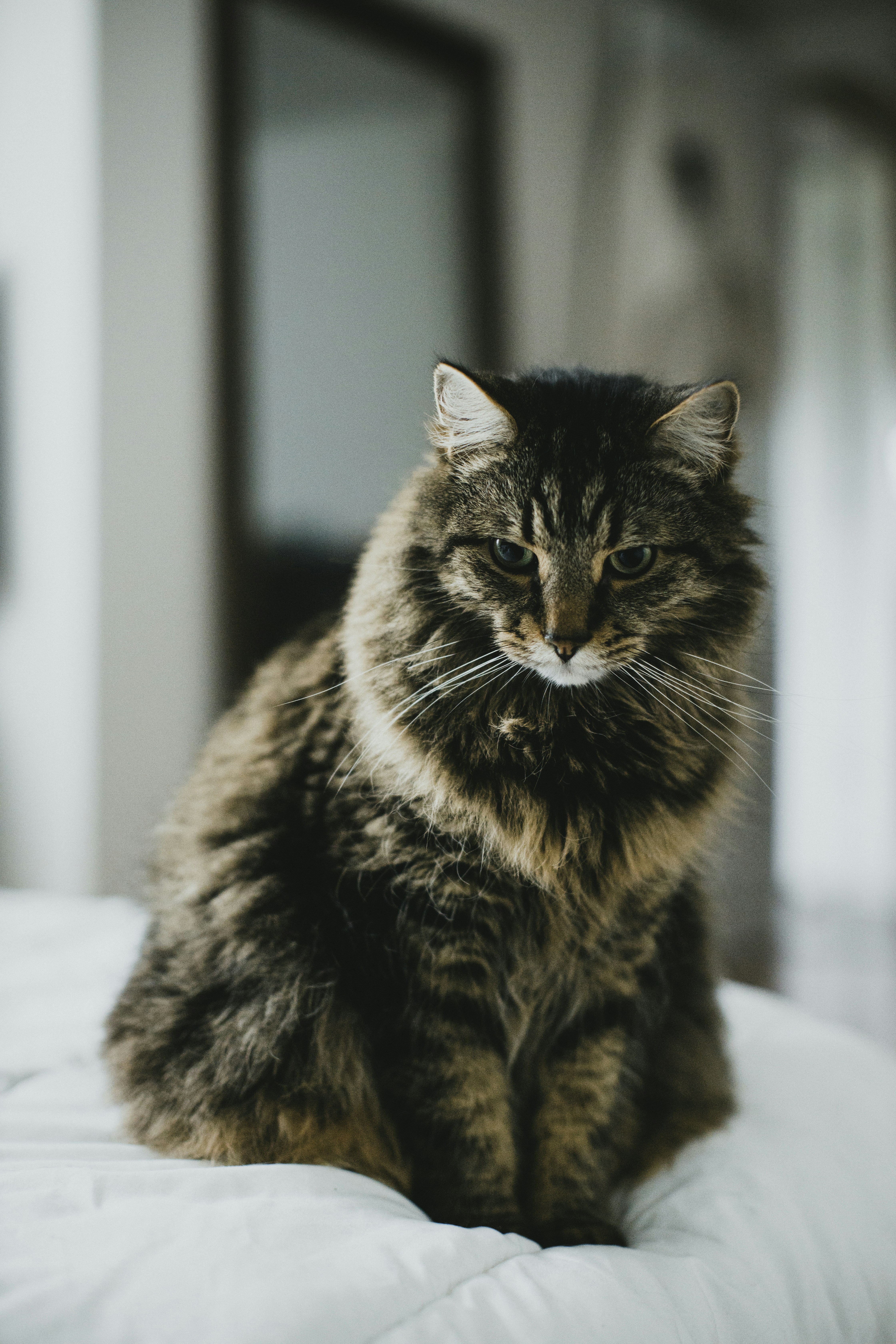 Photo by theshuttervision