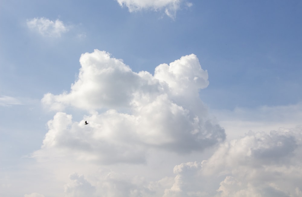 airplane flying in the sky during daytime